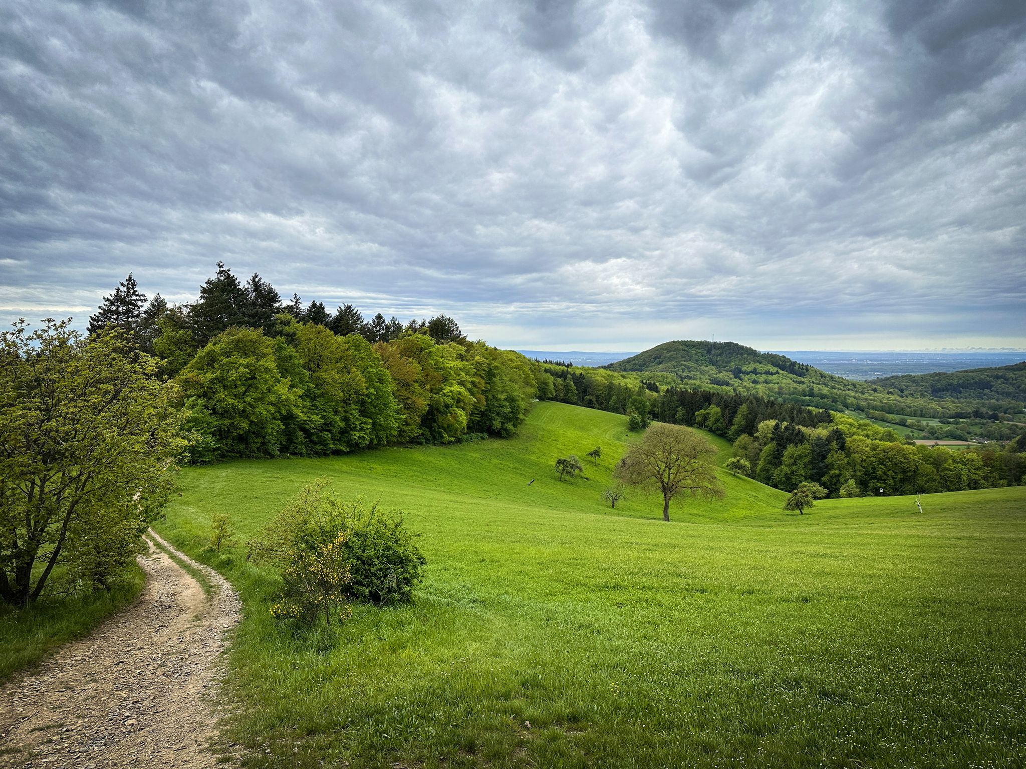 Was ein Blick