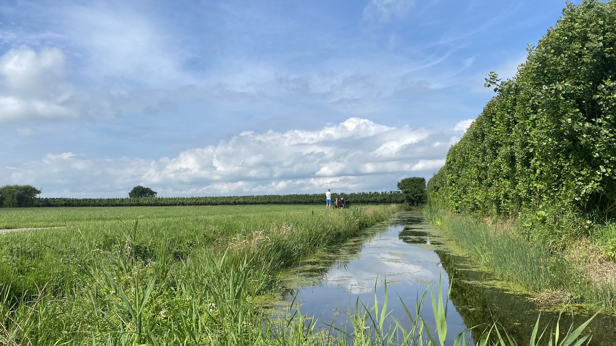 Pankoek, bankje