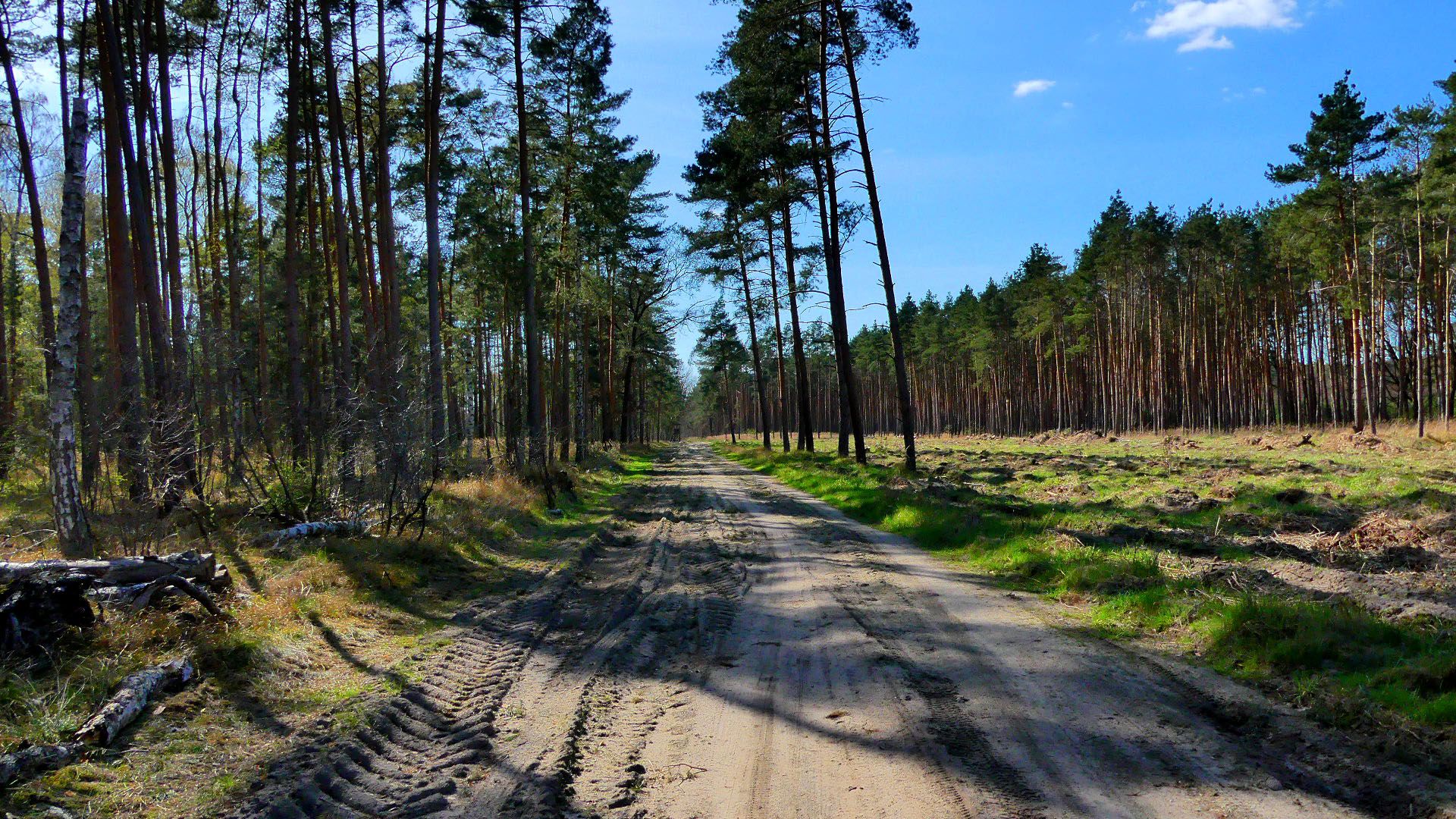 sandiger Weg