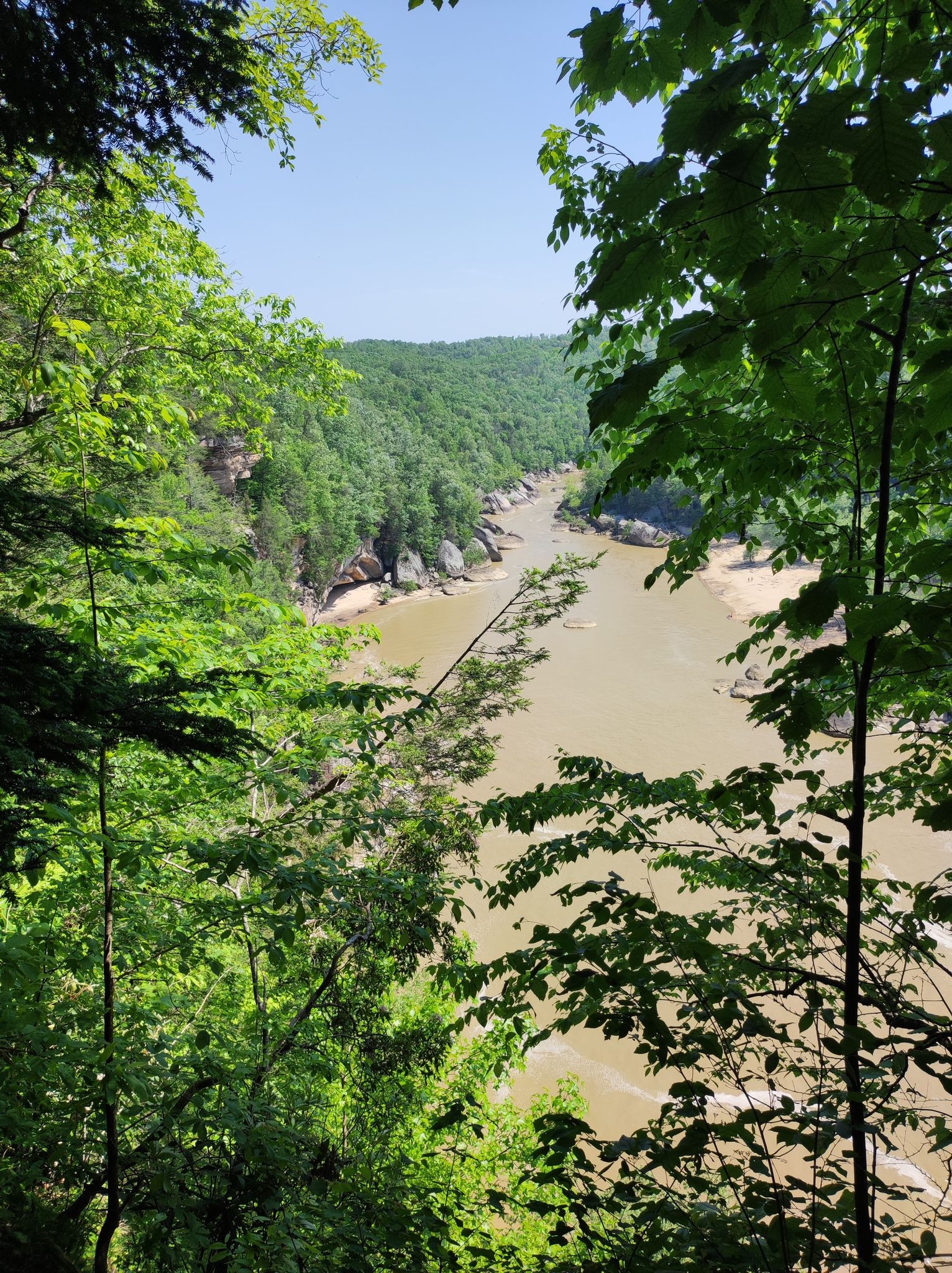Elevated view of a wide river winding through a dense, green forested valley. - Cumberland Falls – Eagle Falls loop from Cumberland Falls