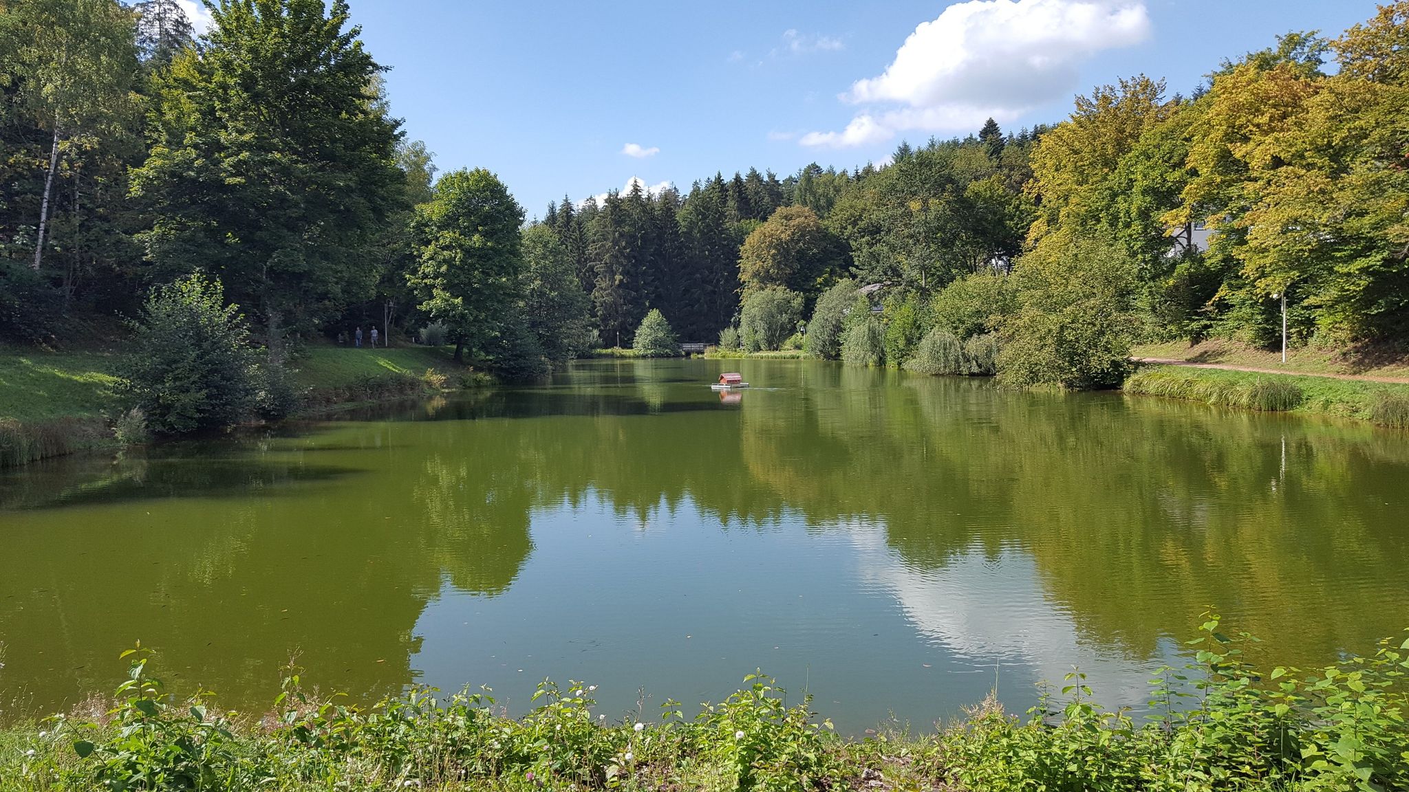 Waldsee
