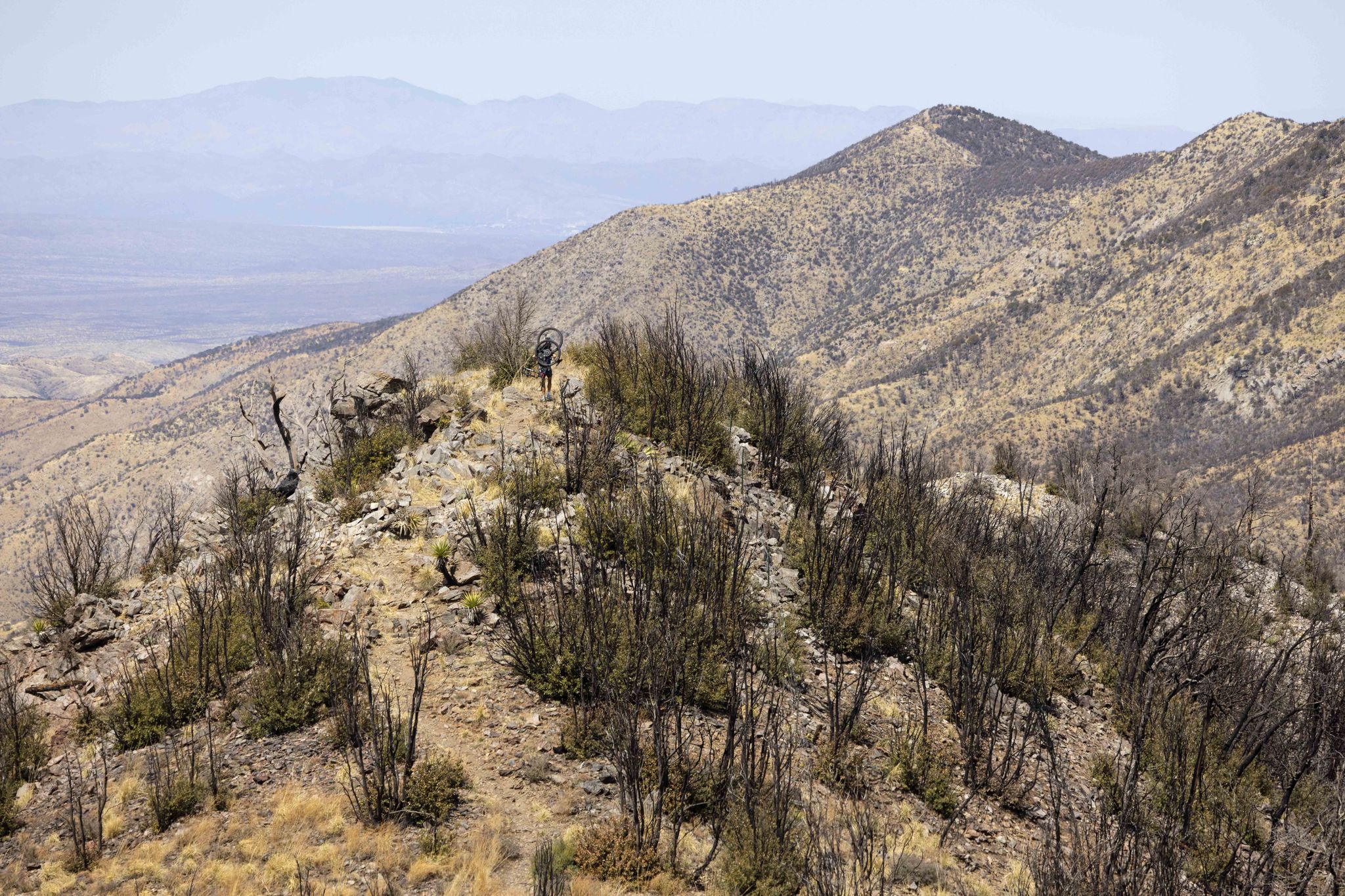 Arid mountain slope with sparse, dark vegetation under a bright sky. - Marble Peak via Oracle Ridge Trail
