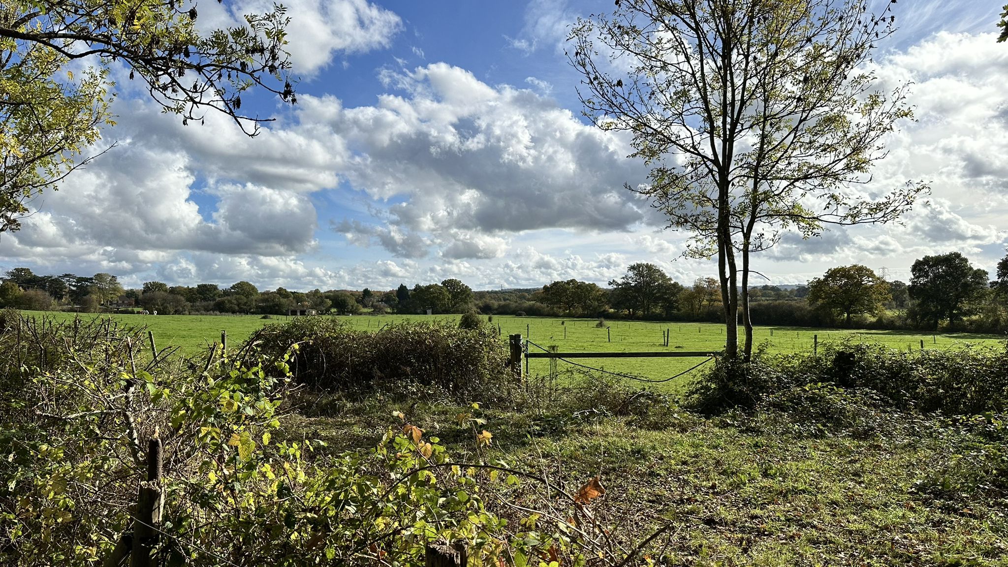 Gravel path in Oxshott - Stunning views