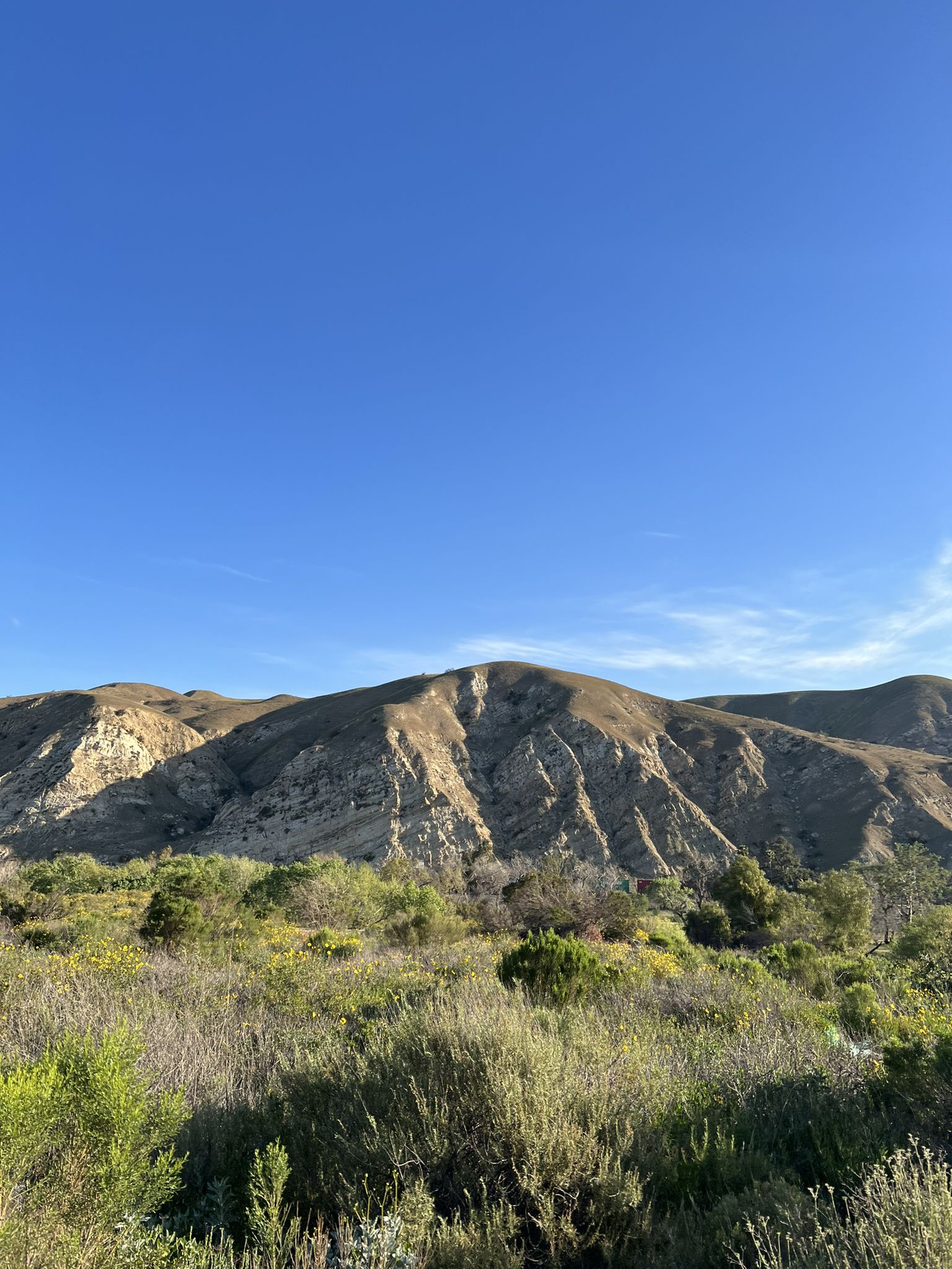 Rugged, sunlit hillsides covered in green and brown scrub under a clear blue sky. - View of Sierra Peak – Santa Ana River Trail Bridge loop from Anaheim Canyon