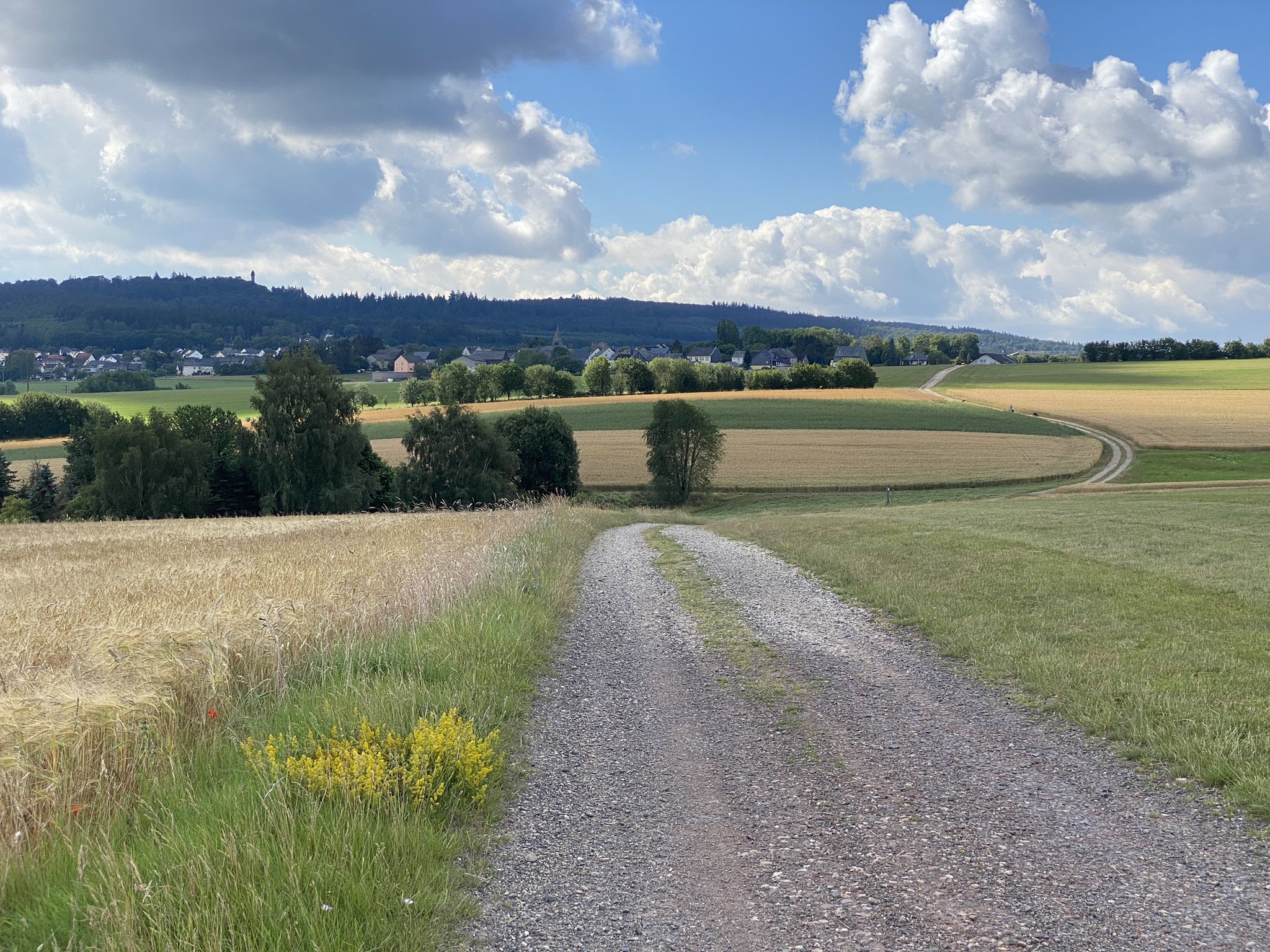 Der Horizont ist weit