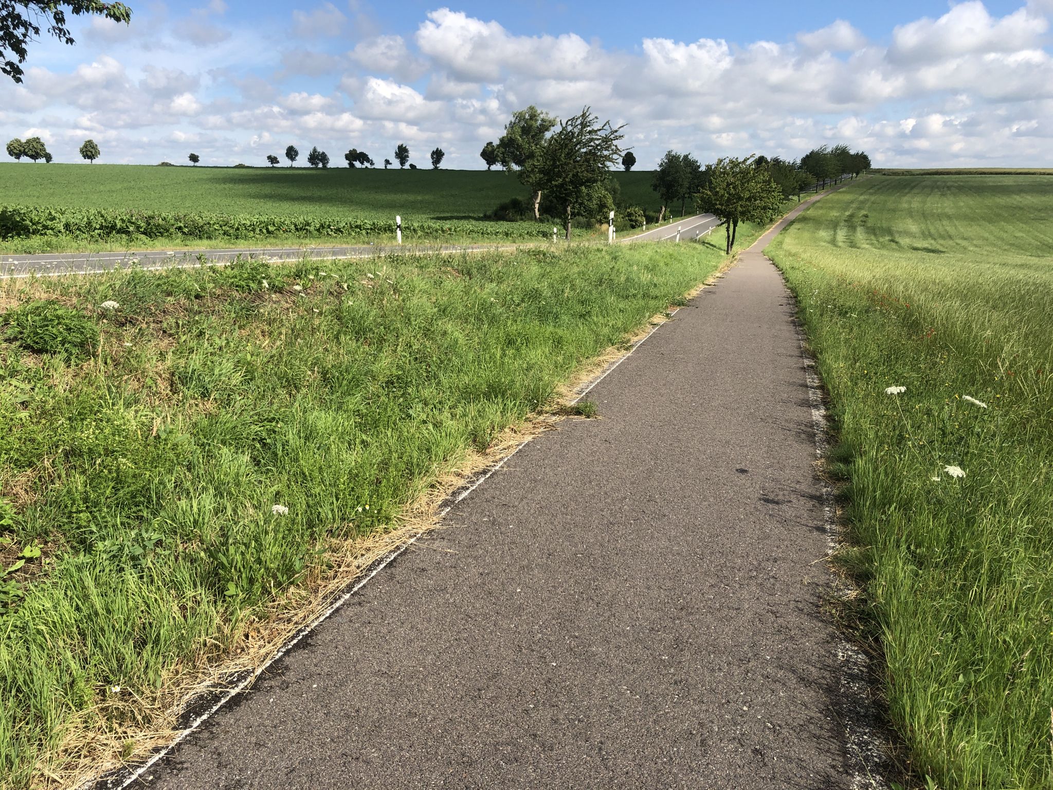 Radweg zwischen Starkenberg und Meuselwitz