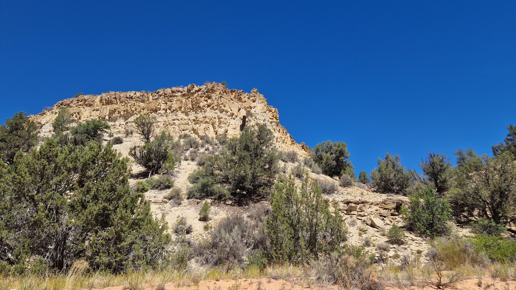 Rocky, layered hillside covered with green trees and shrubs under a clear blue sky. - Belly of the Dragon Trail