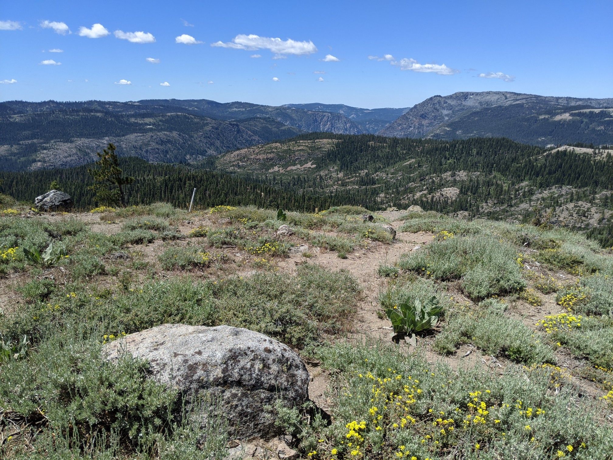 Sunny, open hilltop with low green brush, rocks, and forested mountains. - Rowton Peak Trail