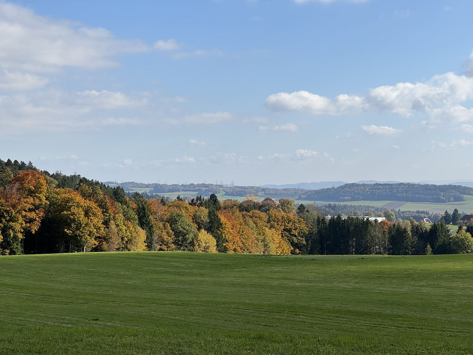 Aussicht oberhalb Görwihl