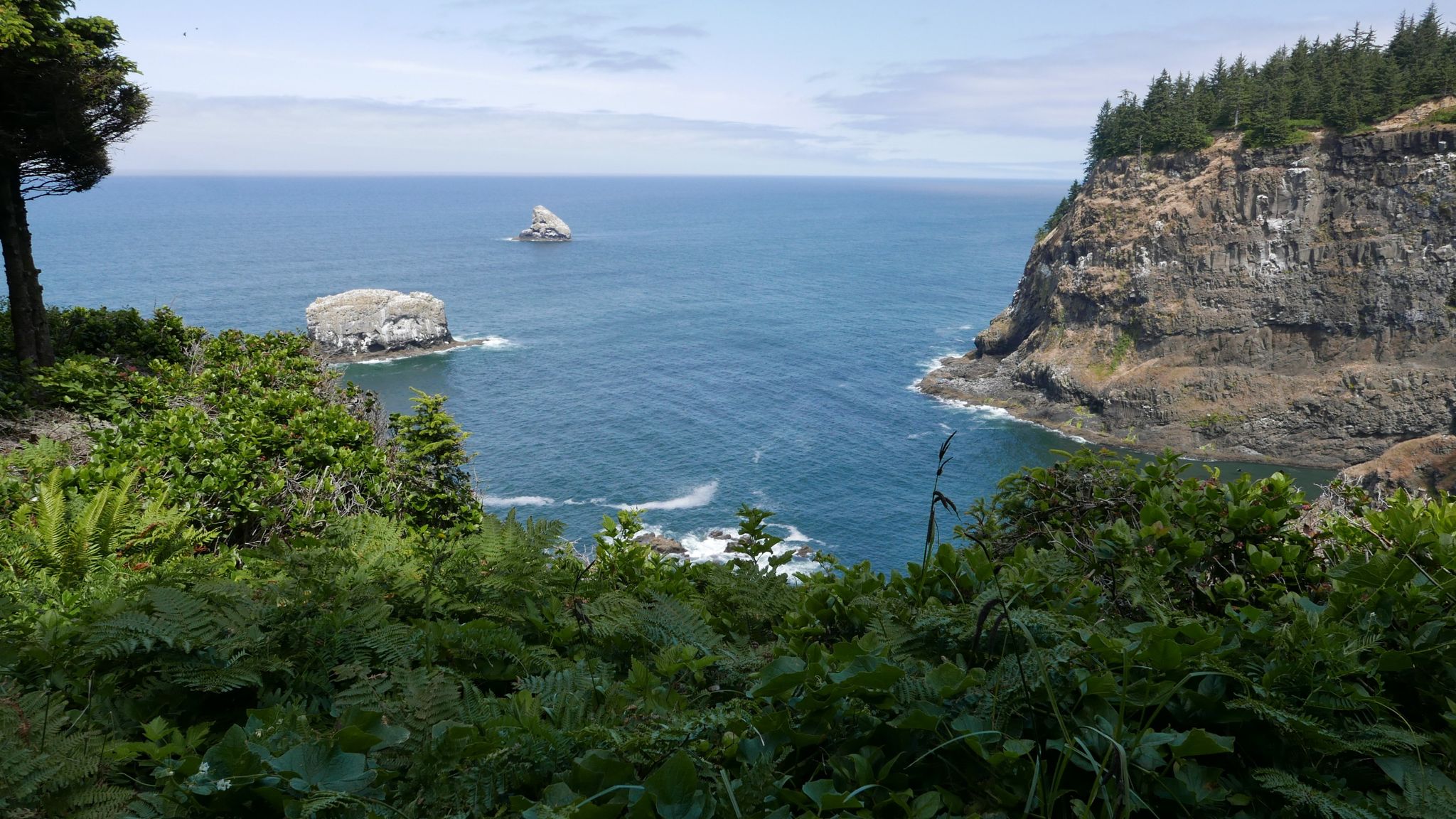 Overlook of deep blue ocean with large sea stacks and a rugged cliff. - Cape Meares Viewpoint and Octopus Tree Trail
