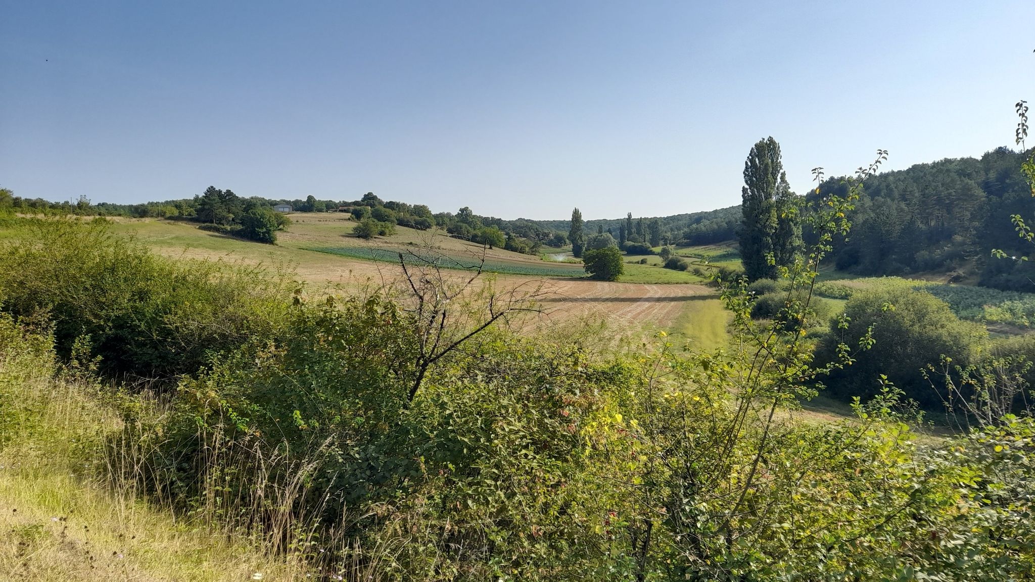 fouleix
