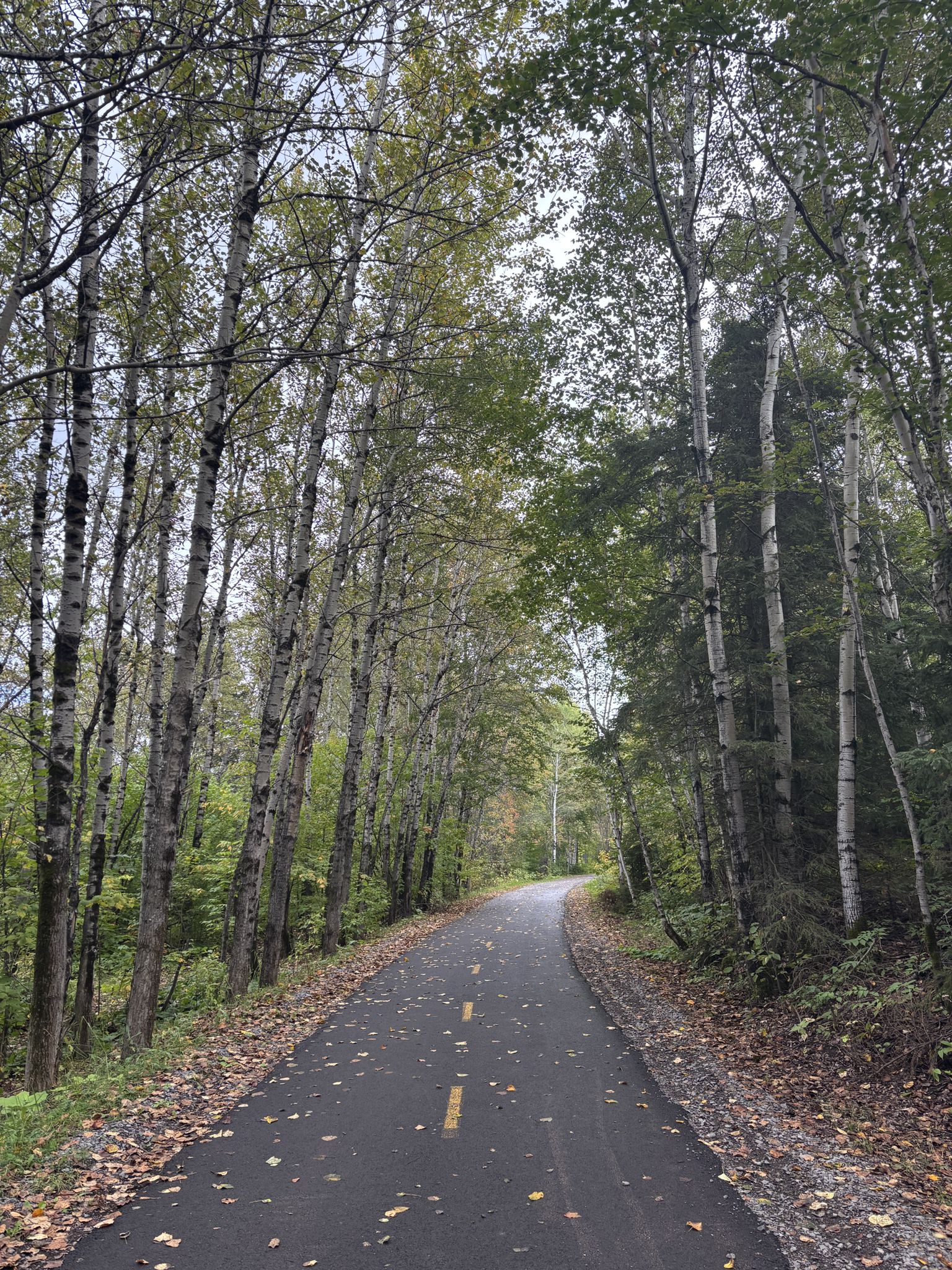 After leaving the smelters, we had kilometres of trail like this to downtown Saguenay.