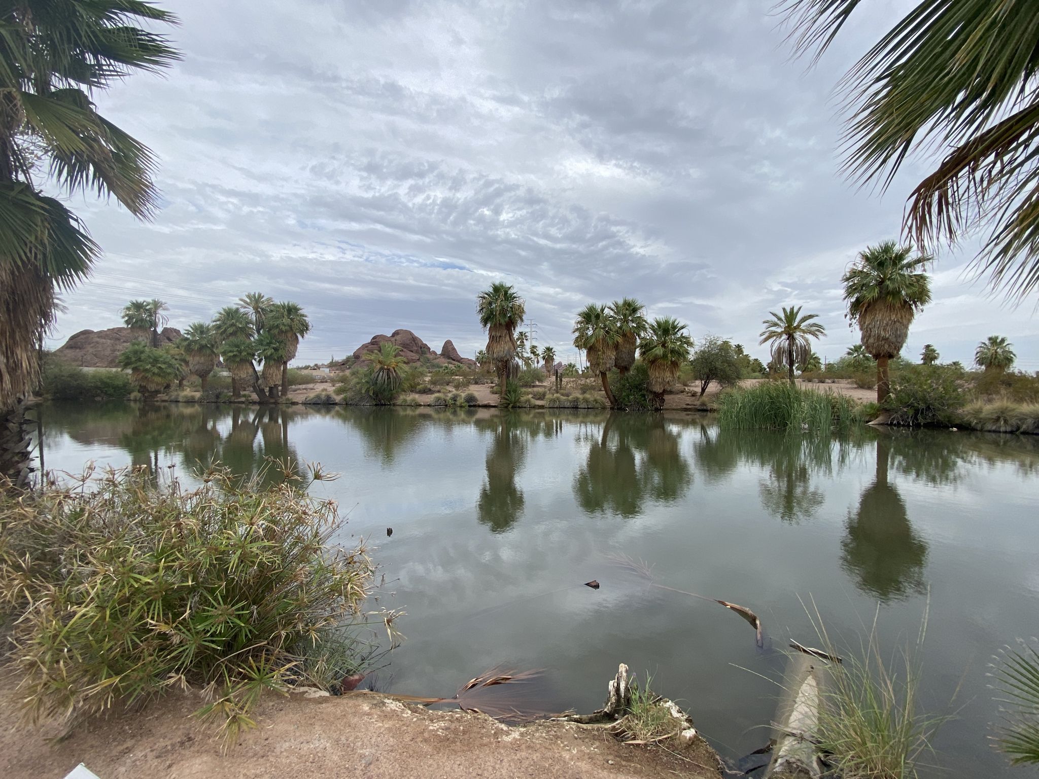 Pond with palm trees and rocky hills under a cloudy, overcast sky. - Grand Canal Path