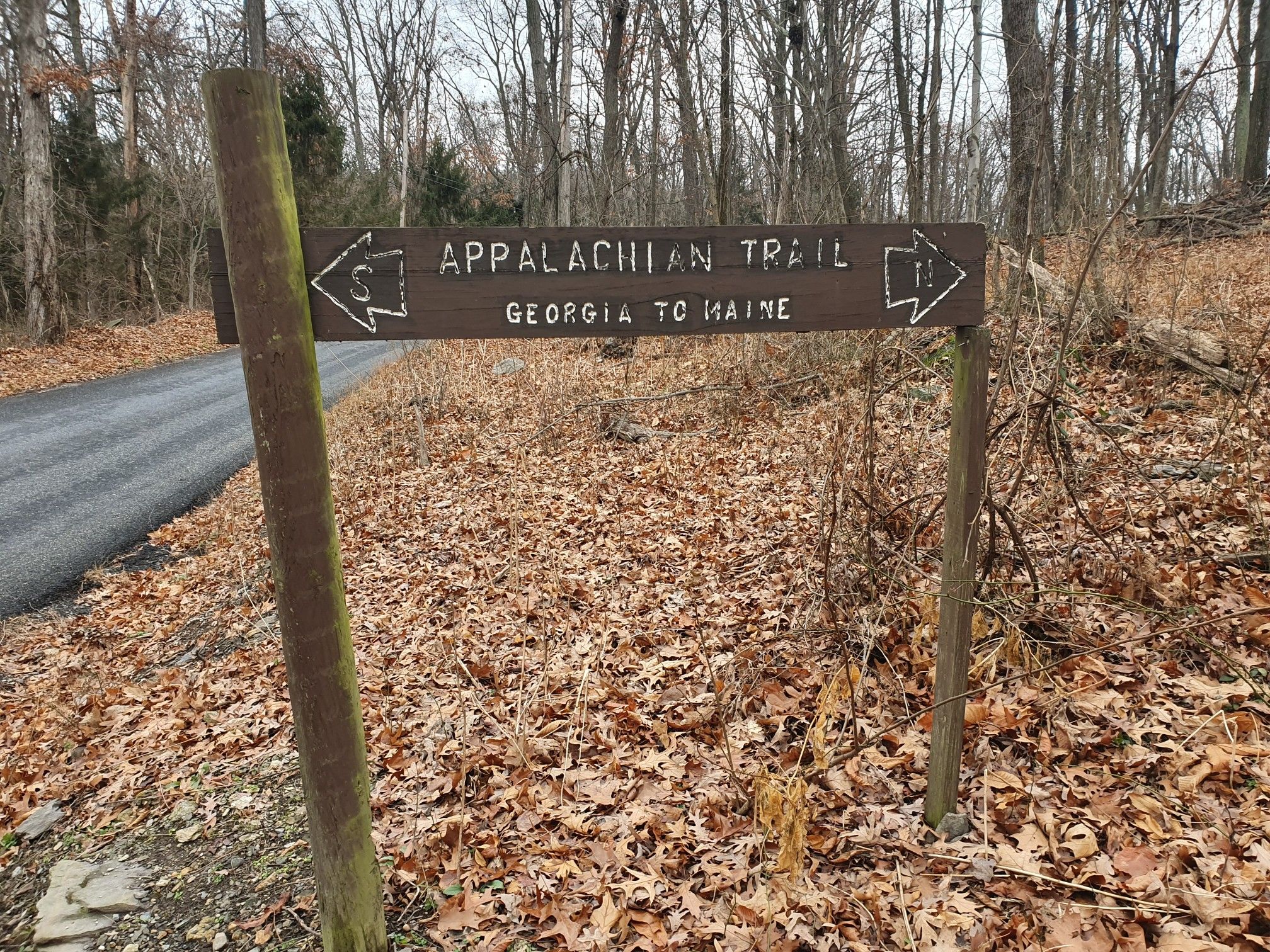 A wooden trail sign with directional arrows stands beside a paved road. - Laurel Lake Loop