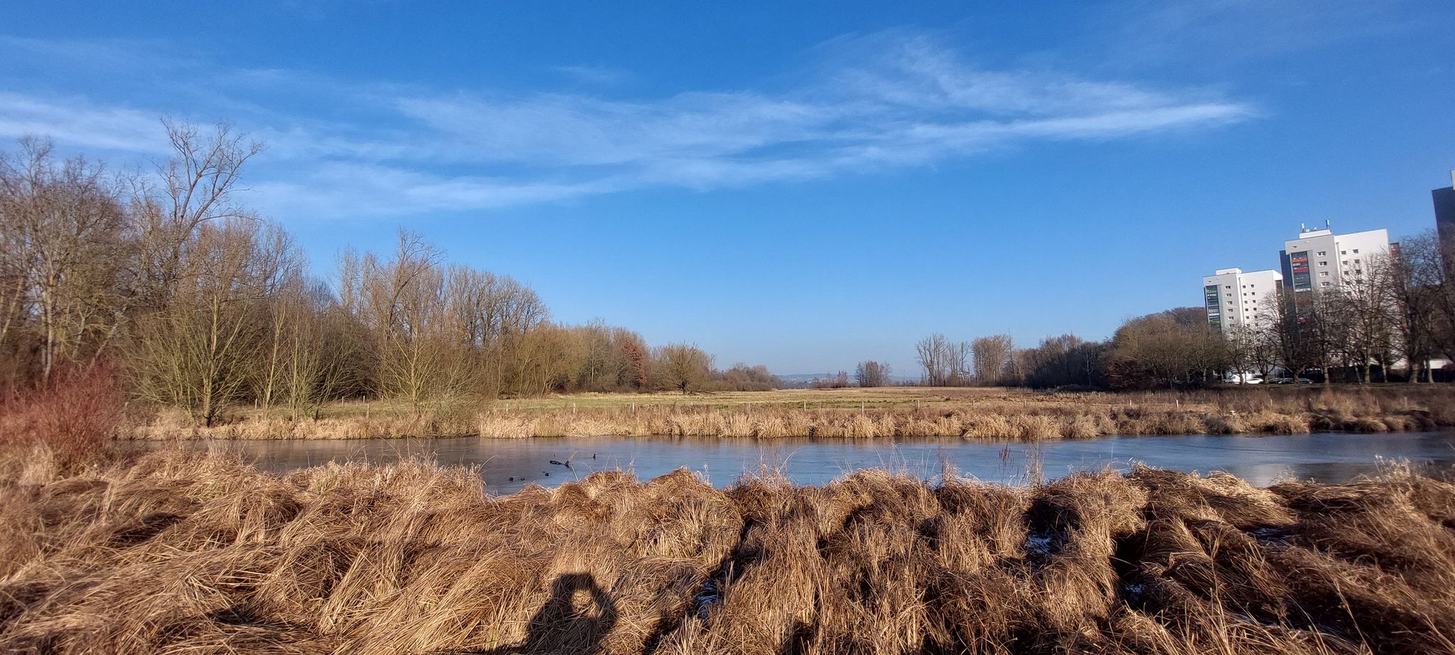 Wieseck Auen
