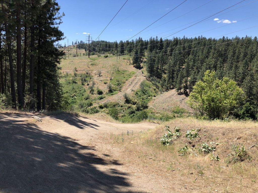 Sunny view of a dirt path leading into a forested, hilly landscape with power lines. - Upchuck Trail Loop