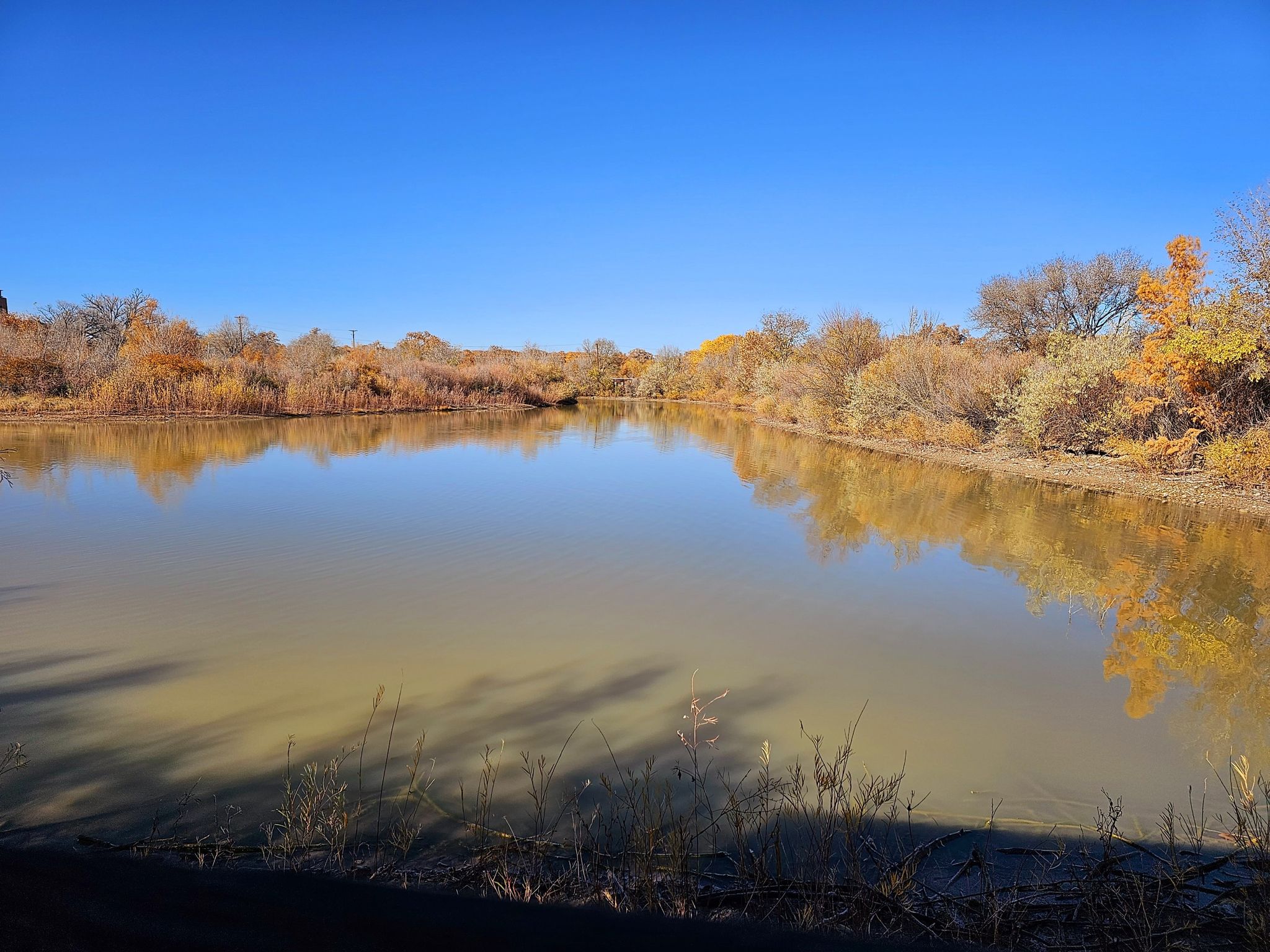Calm water reflecting autumn trees under a clear blue sky. - Alameda and Bachechi Open Space Walk
