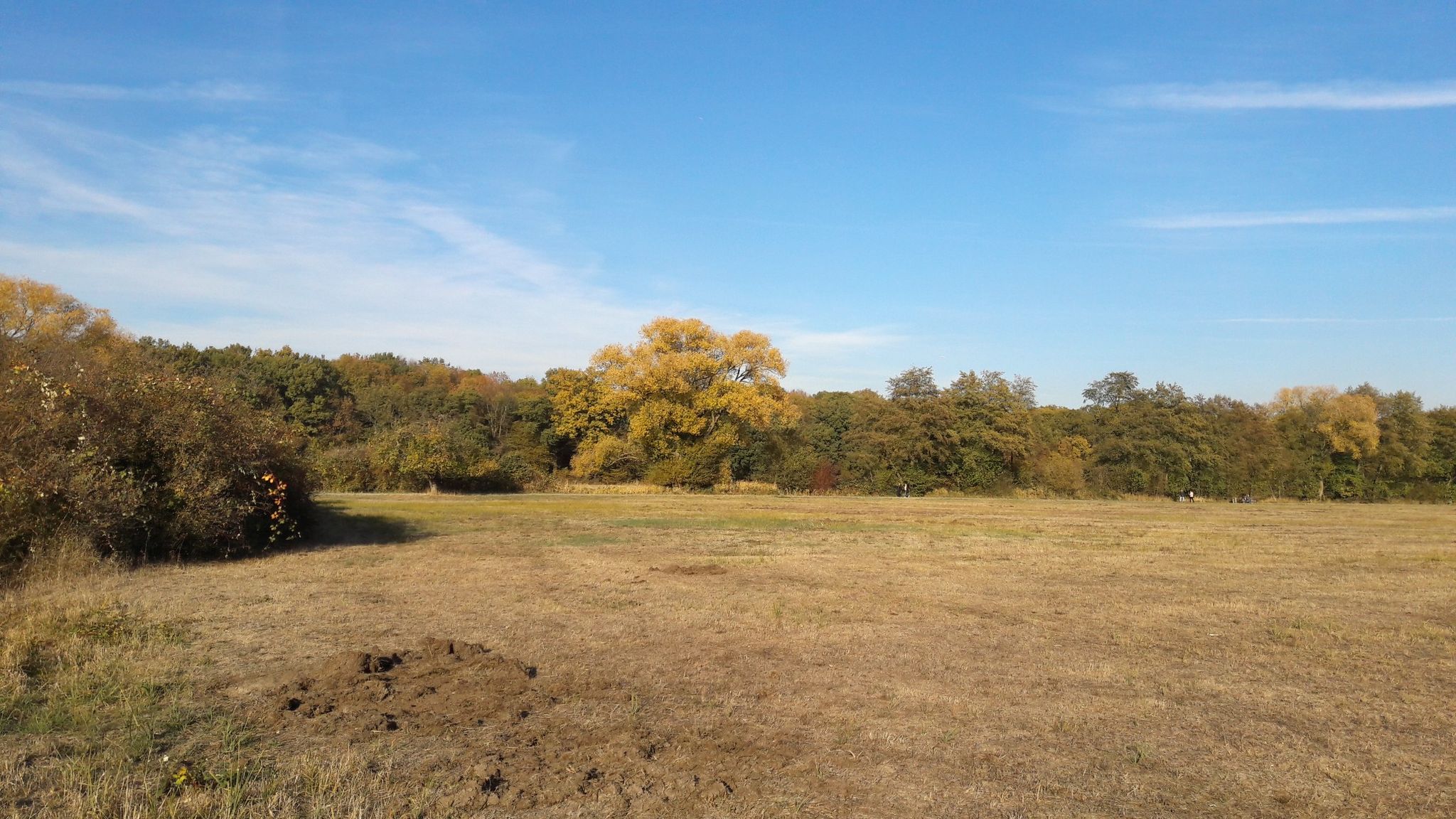 Alte Wiese