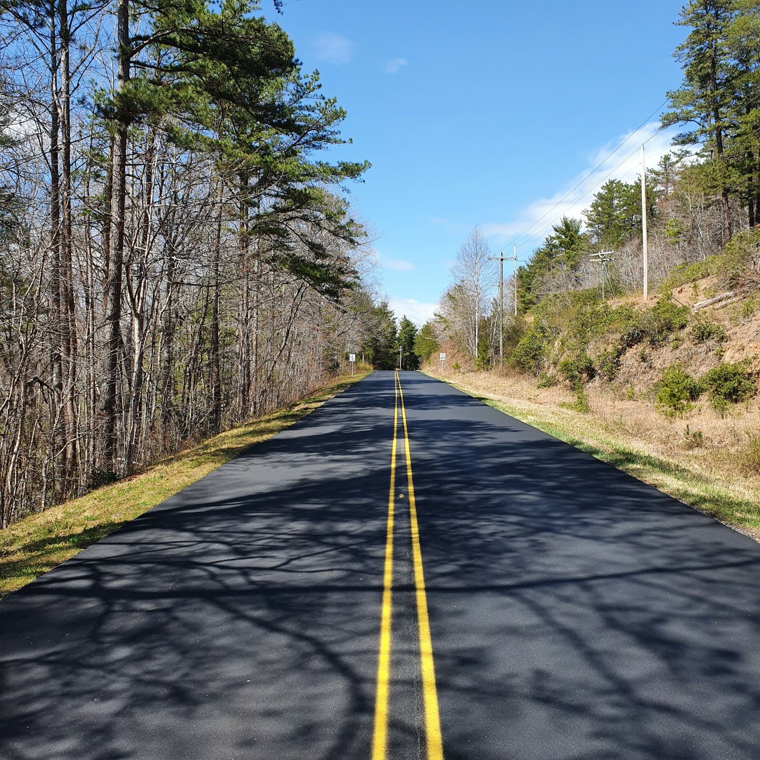 A paved road with yellow lines through a forest on a bright, sunny day. - Lake James – Lake James loop from Cabin at Paddy's Creek