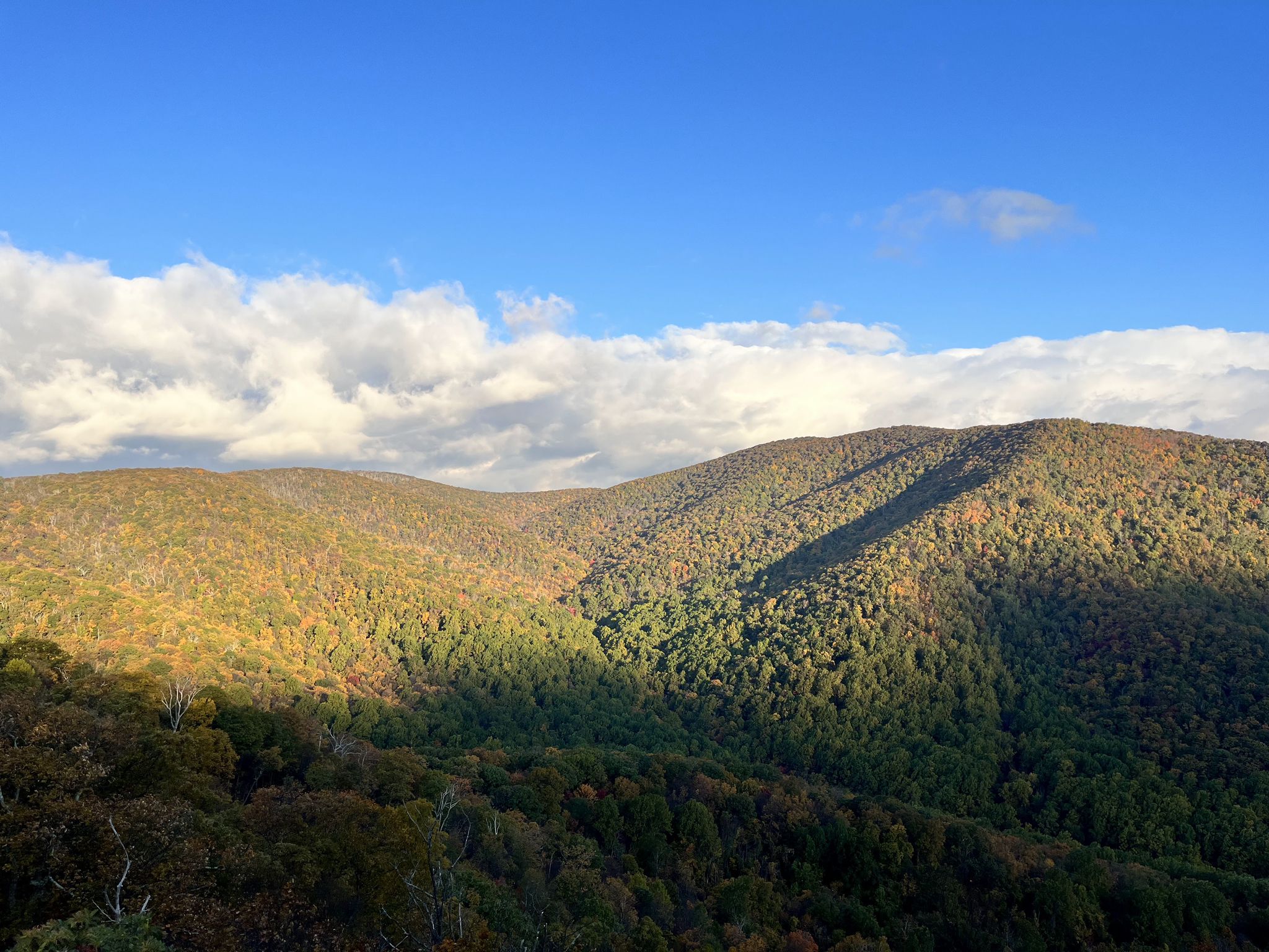 Rolling forested mountains under a partly cloudy sky, with sun and shadow. - Hazeltop via Appalachian Trail