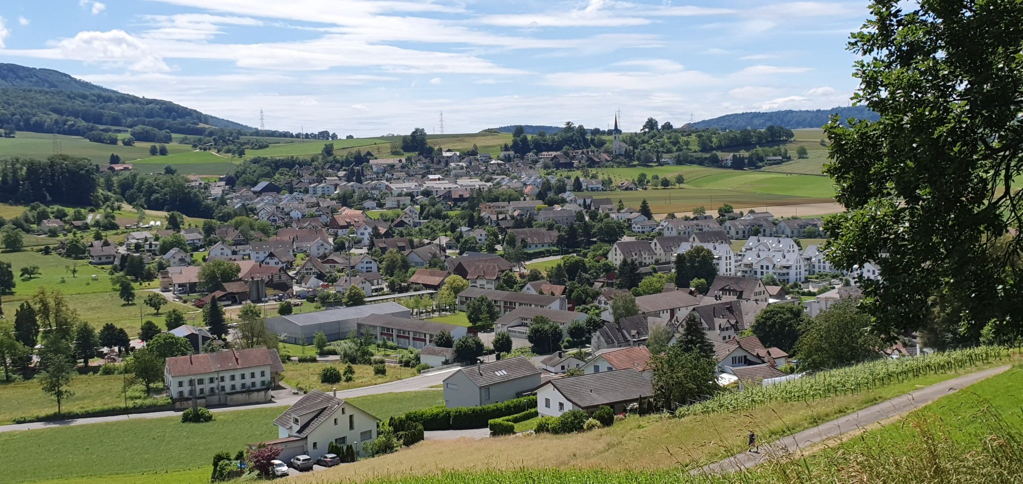 Niederweningen