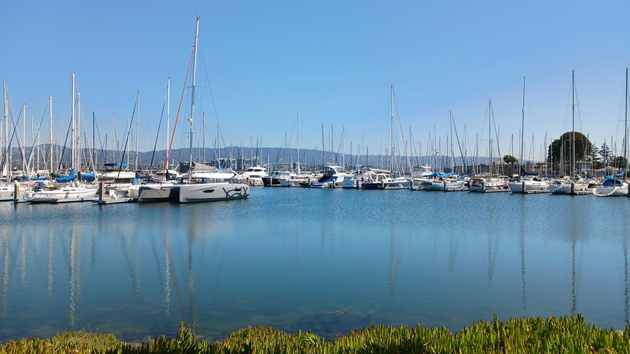 Alameda Harbor