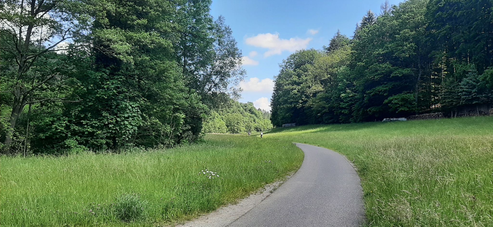 Hier etwa befand sich einmal ein Wachturm des Limes - die Grenzlinie eines Weltreichs