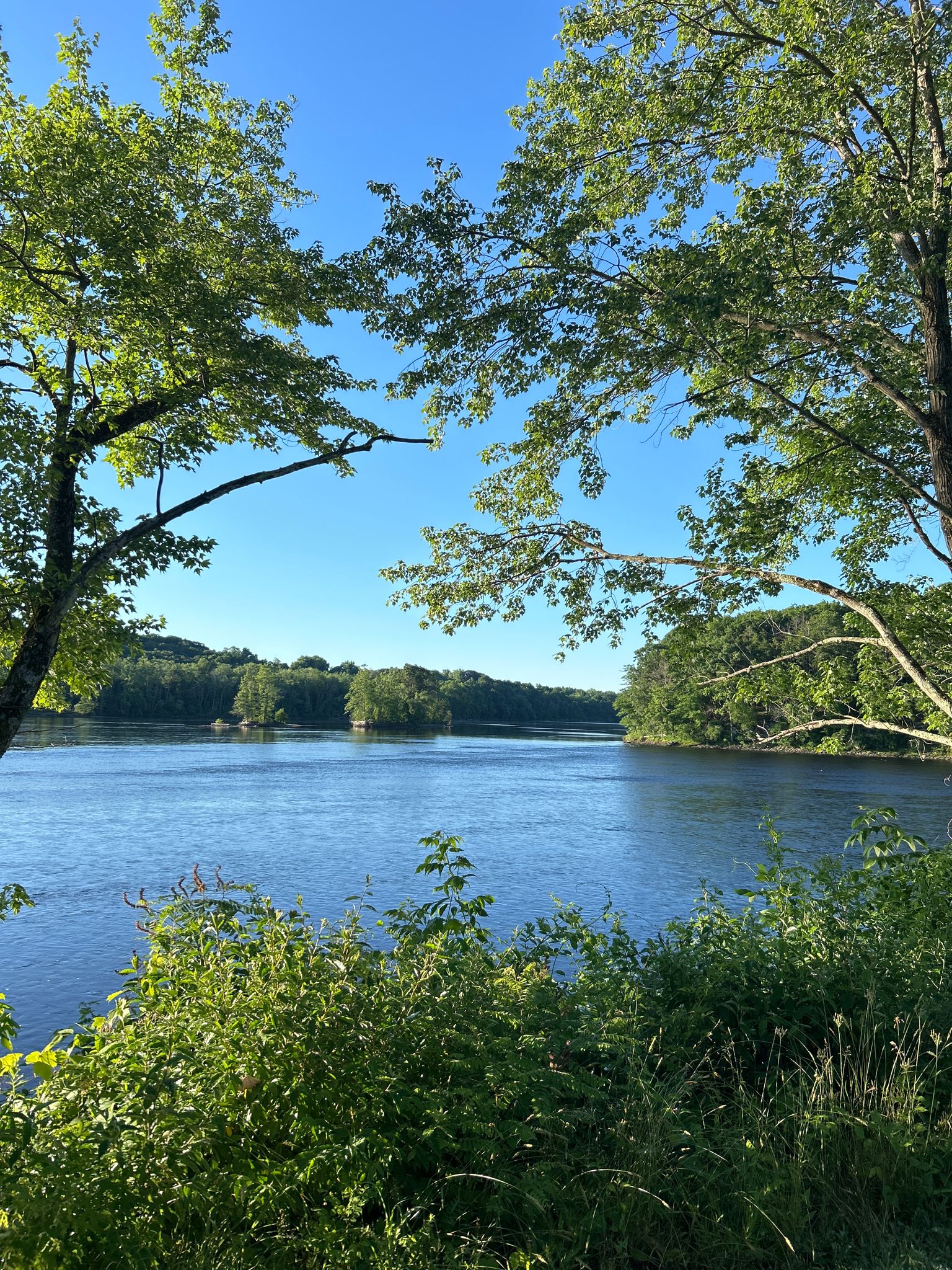 Serene lake framed by lush green trees under a bright blue sky. - Windsor Locks Canal State Park Trail