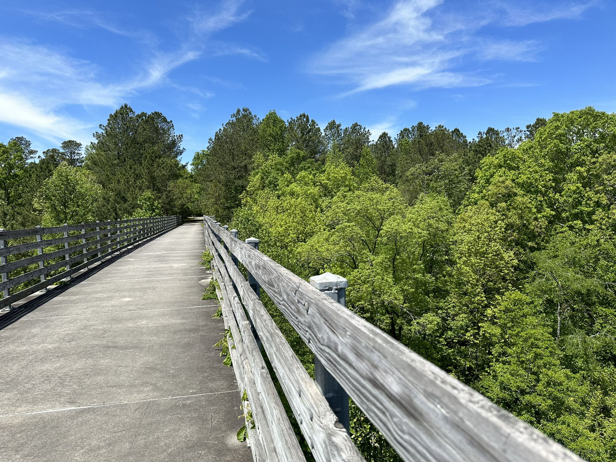 Sunny day on a concrete bridge with wooden railings, surrounded by green trees. - Dallas – Pumpkinvine Trestle loop from Dallas