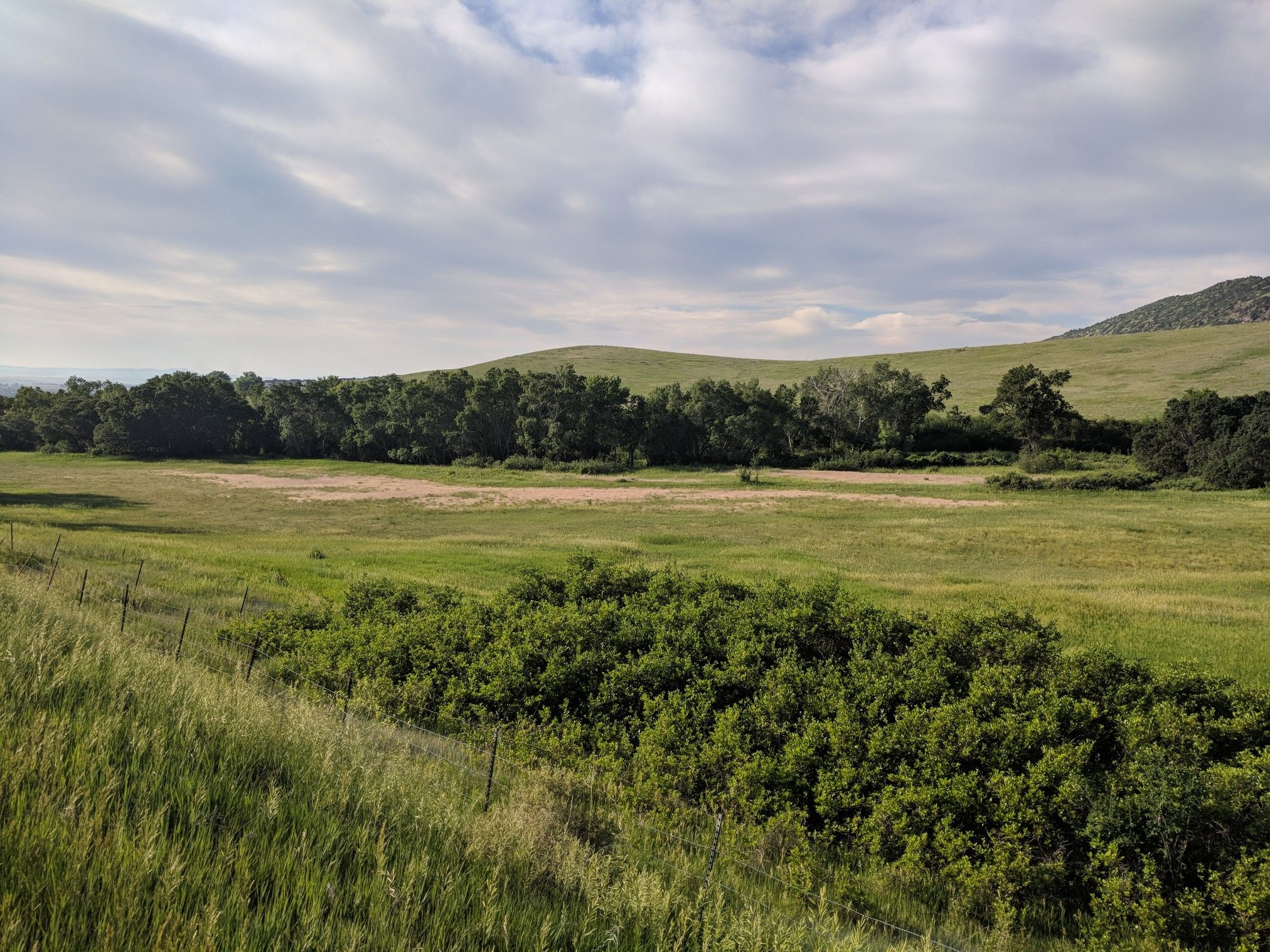 Expansive green field with a line of trees and distant hills under a cloudy sky. - Pleasant Park Grange Rest Stop loop from Chatfield State Park