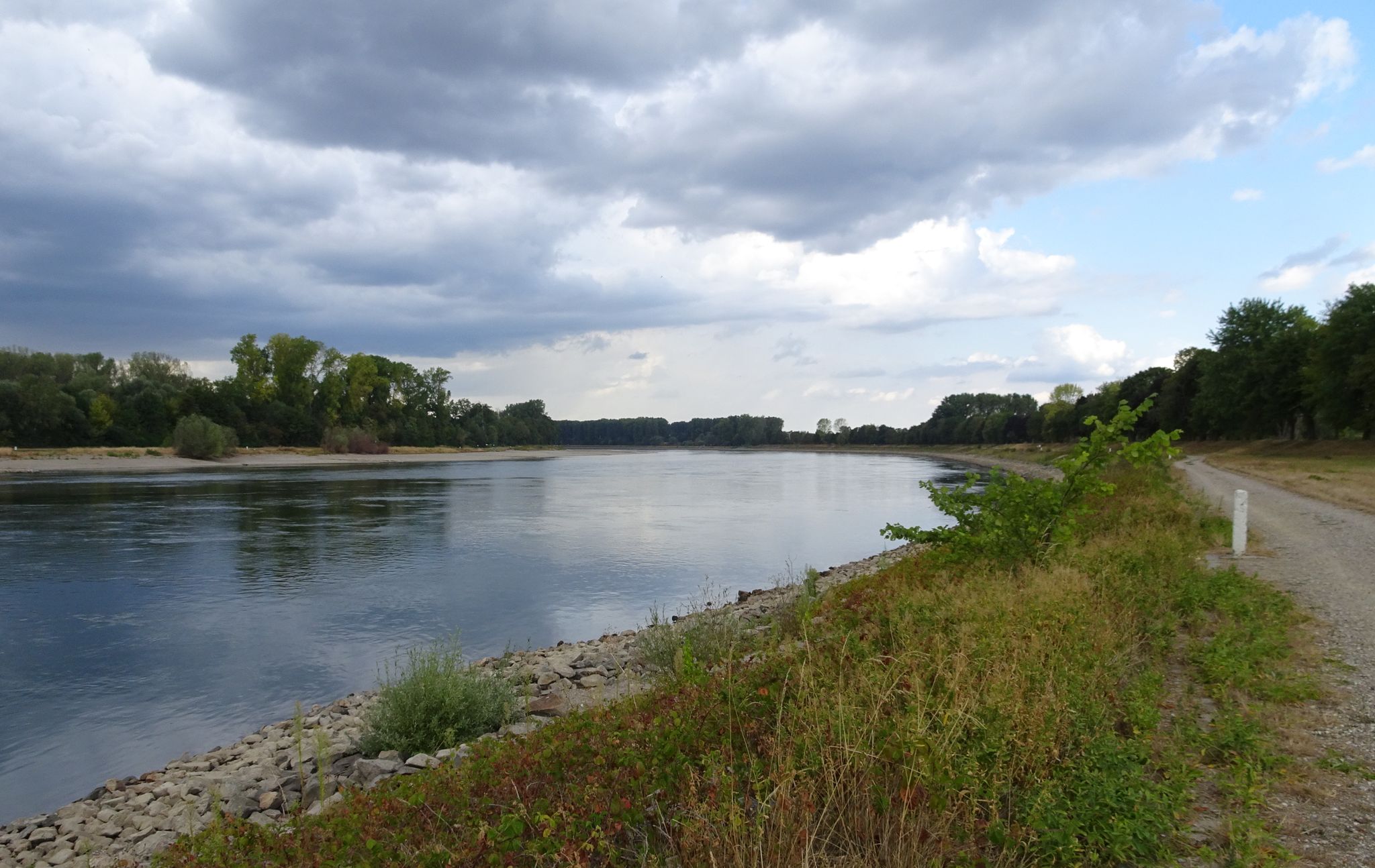 große Kiesbänke in den Rheinbögen