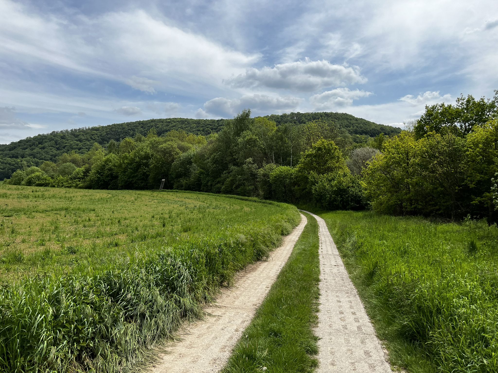 Kolonnenweg