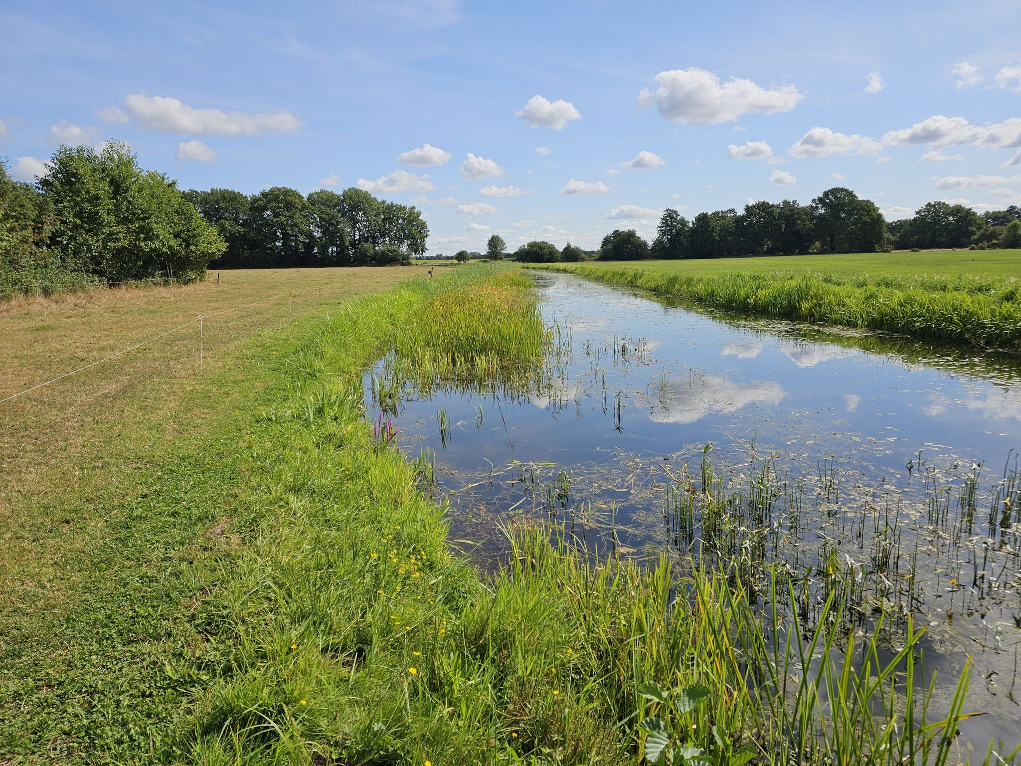 het Oude Diep