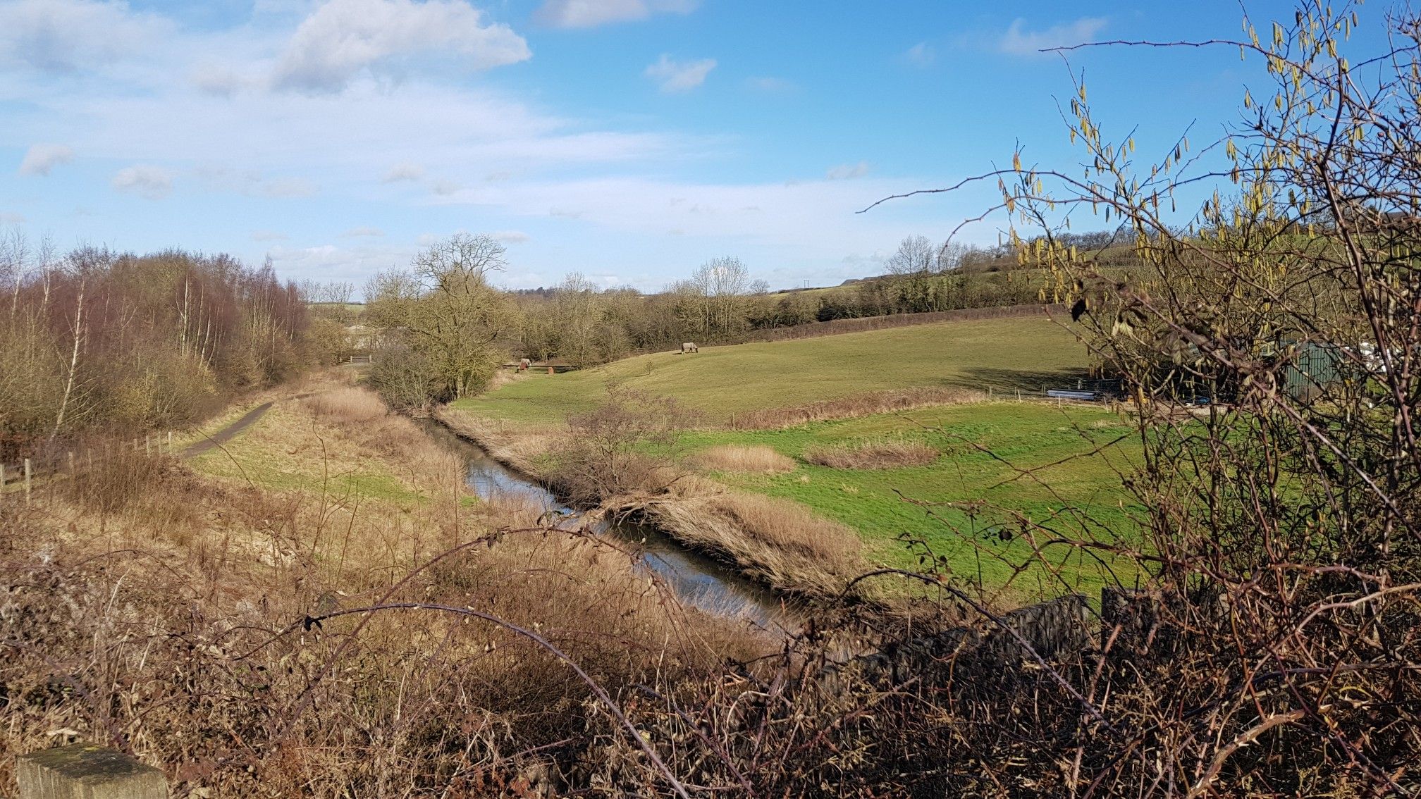 River Rother Near Grange Farm (Grassmoor)