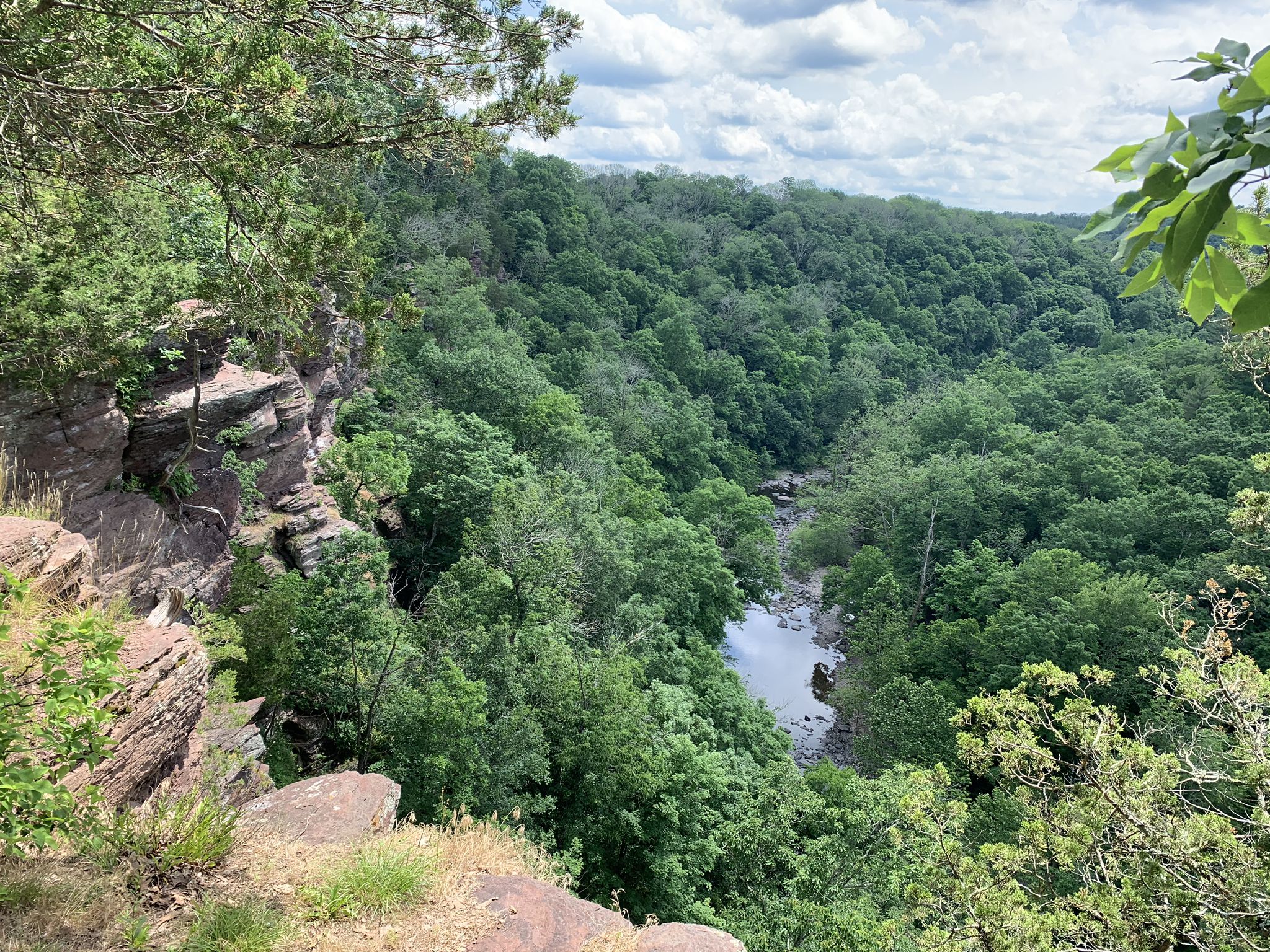 Overlook of a river winding through a dense green forest under cloudy skies. - View of Tohickon Creek loop from High Rocks Vista