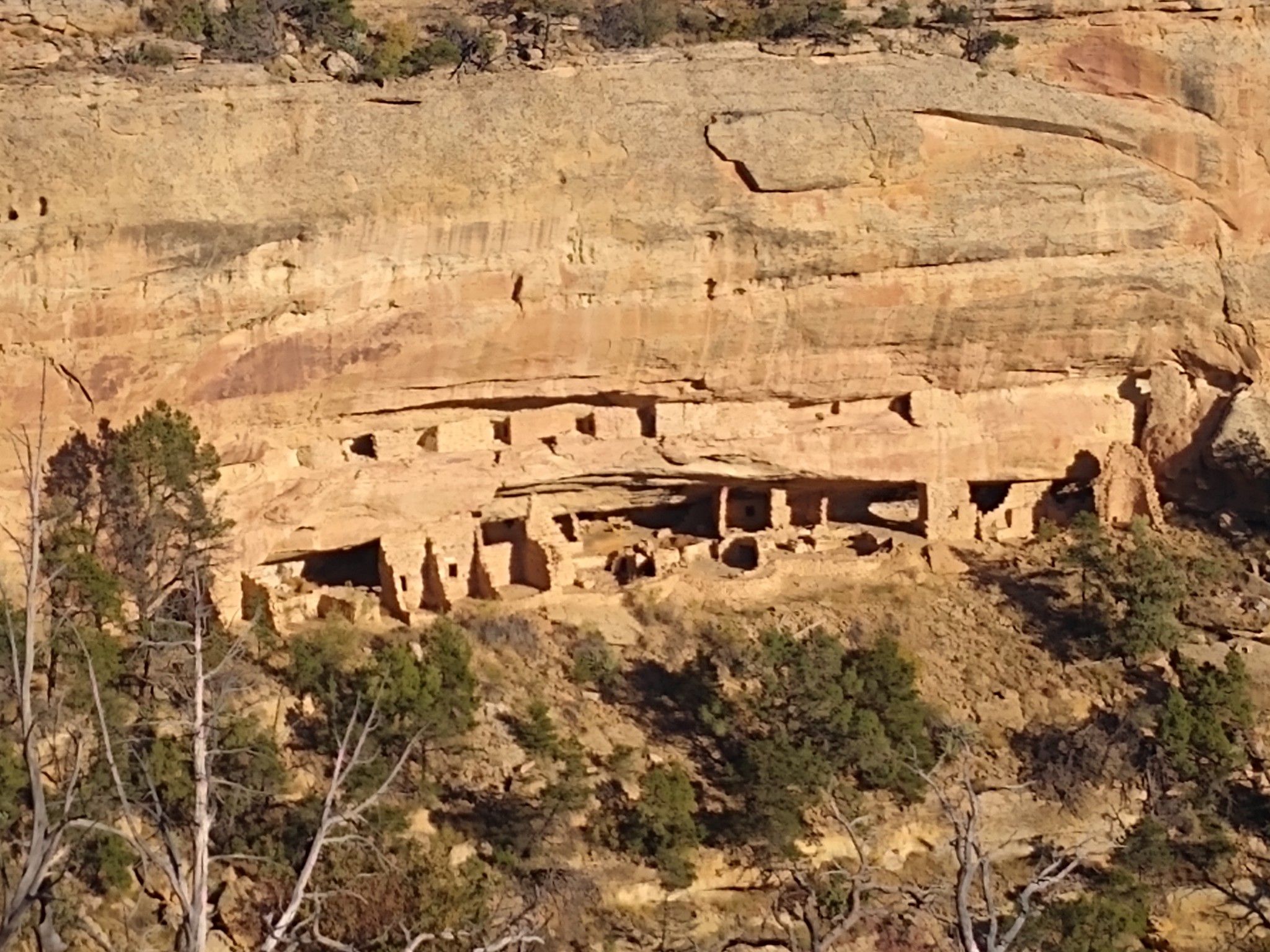 Ancient structures built into a large, sunlit rock cliff face. - Nordenskiöld House Overlook loop from Long House Loop Trailhead
