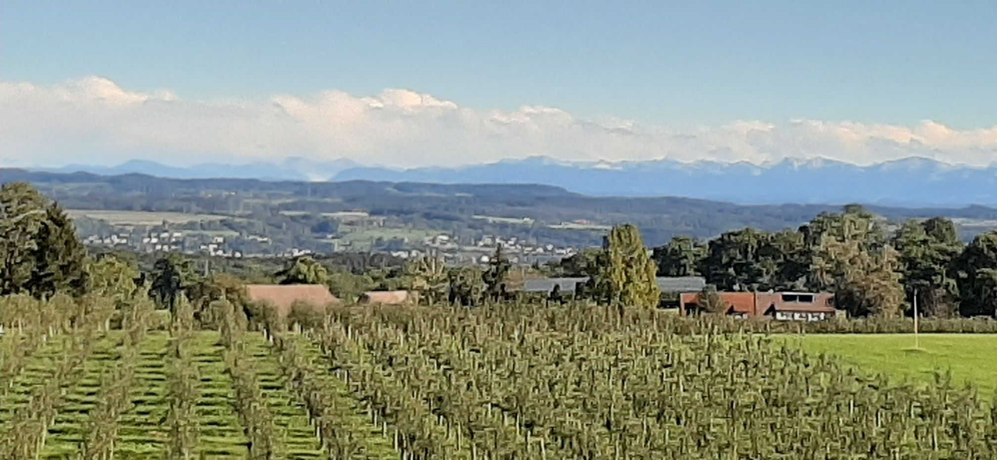 Blick Richtung Wetterstein