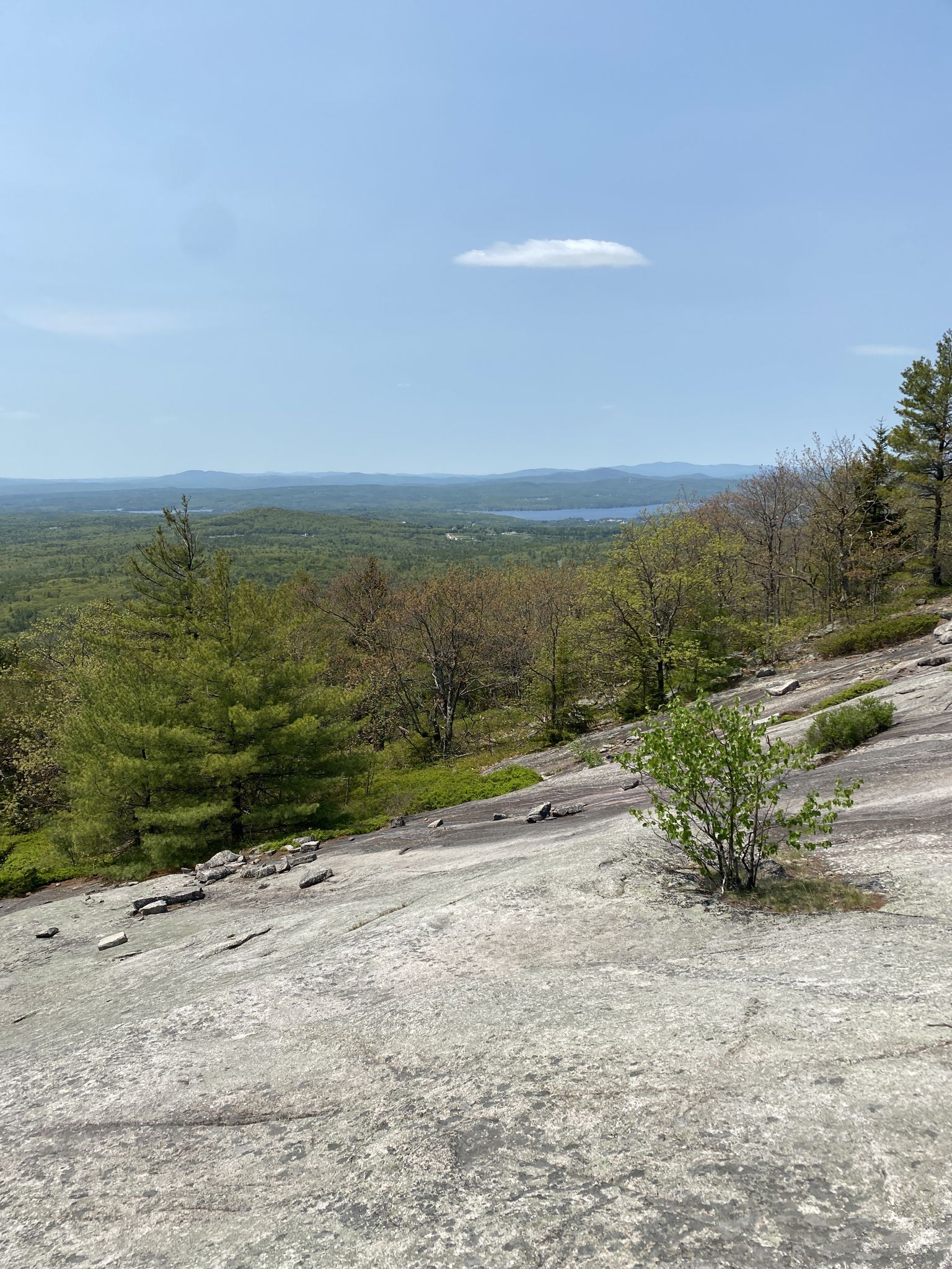 Sunny view from a rocky outcrop overlooking a vast green forest and distant lake. - Whiteface Trail to Piper Mountain