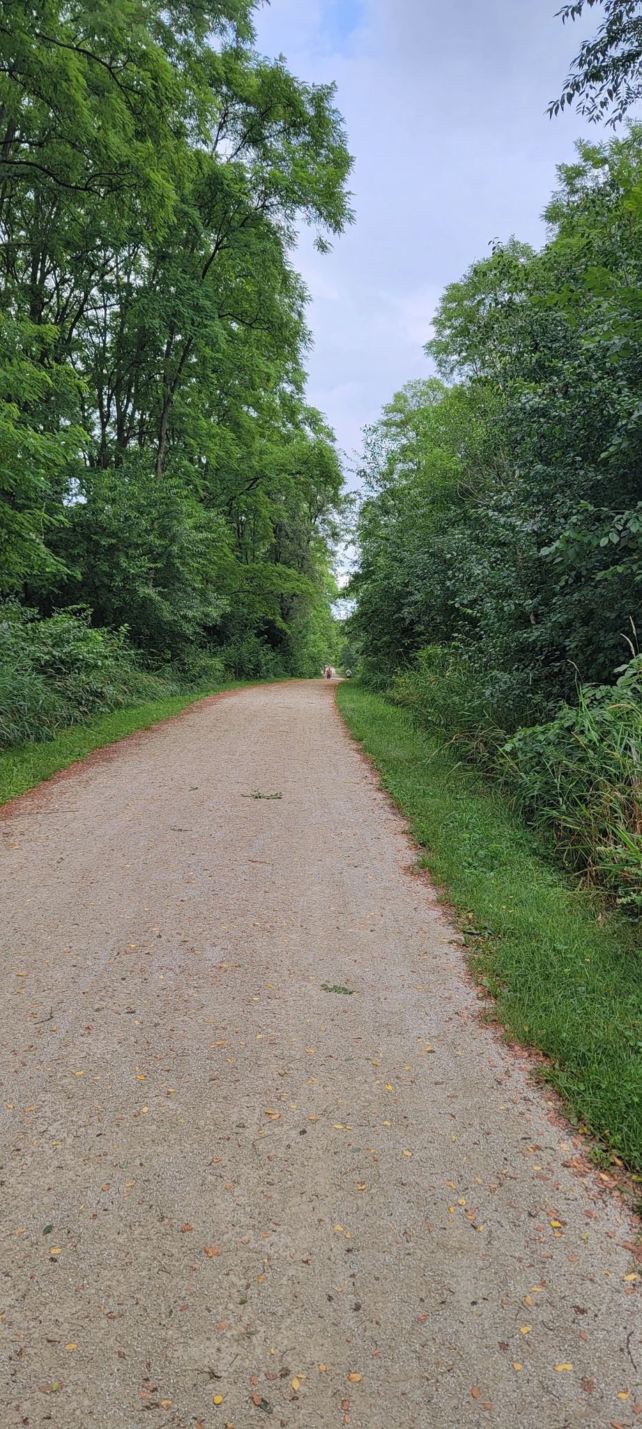 A dirt path leading through a dense, green forest on an overcast day. - Hawk Hollow Loop via North Central DuPage Regional Trail