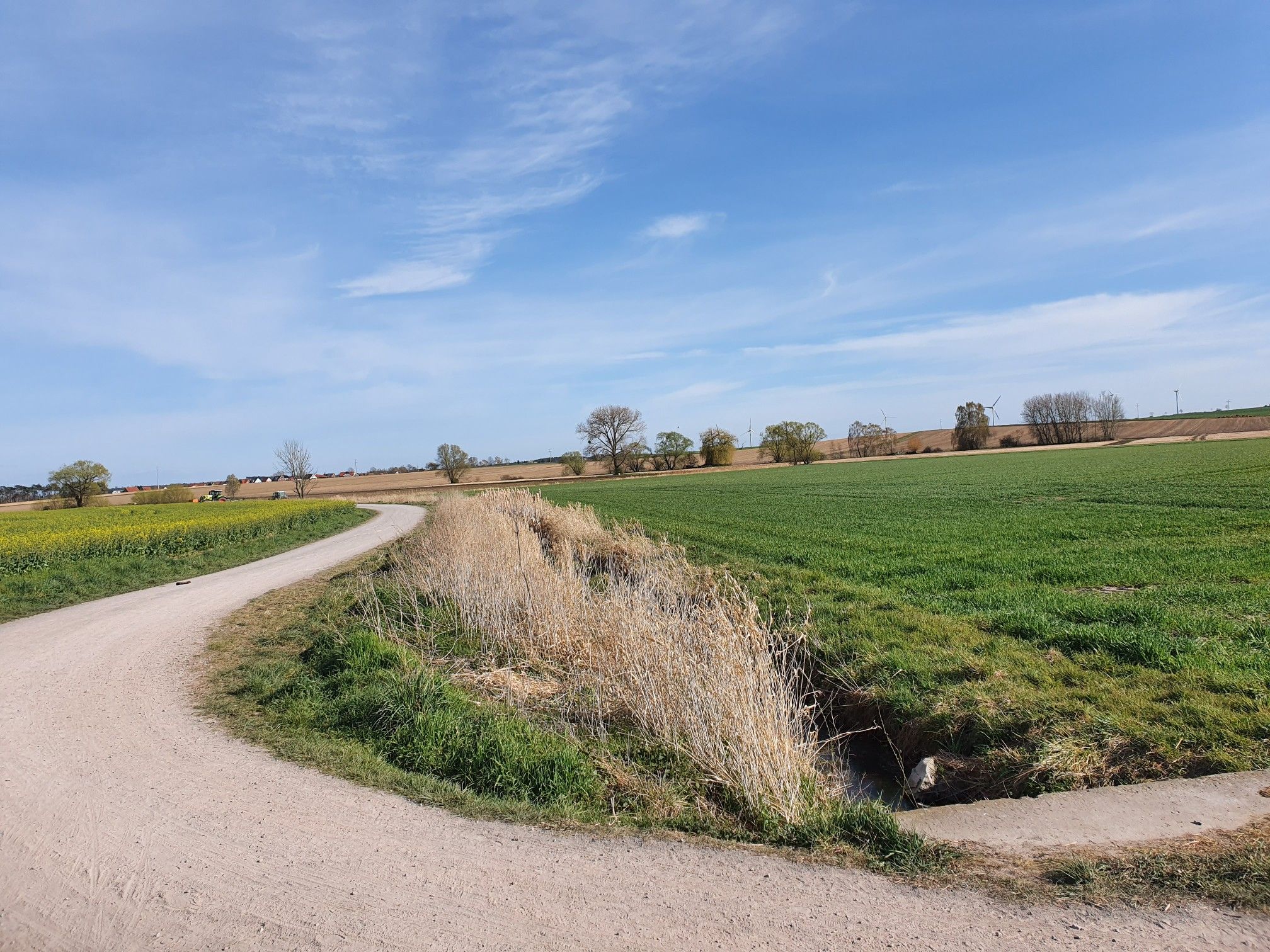 Felder bei Velpke