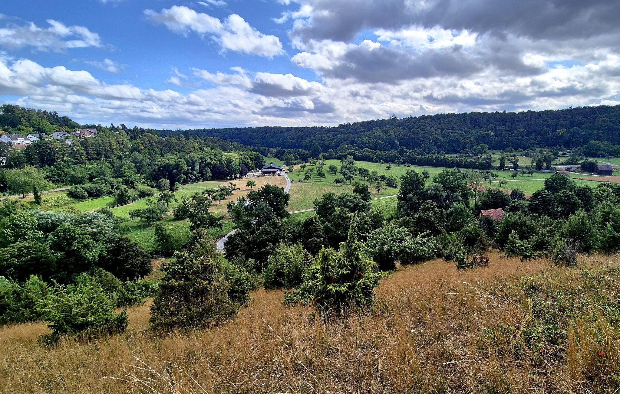 Blick ins Würmtal