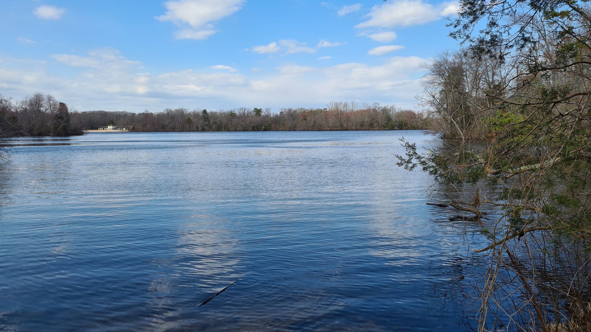 A wide, calm lake under a bright blue sky with distant trees. - Parvin State Park loop from Pittsgrove Township