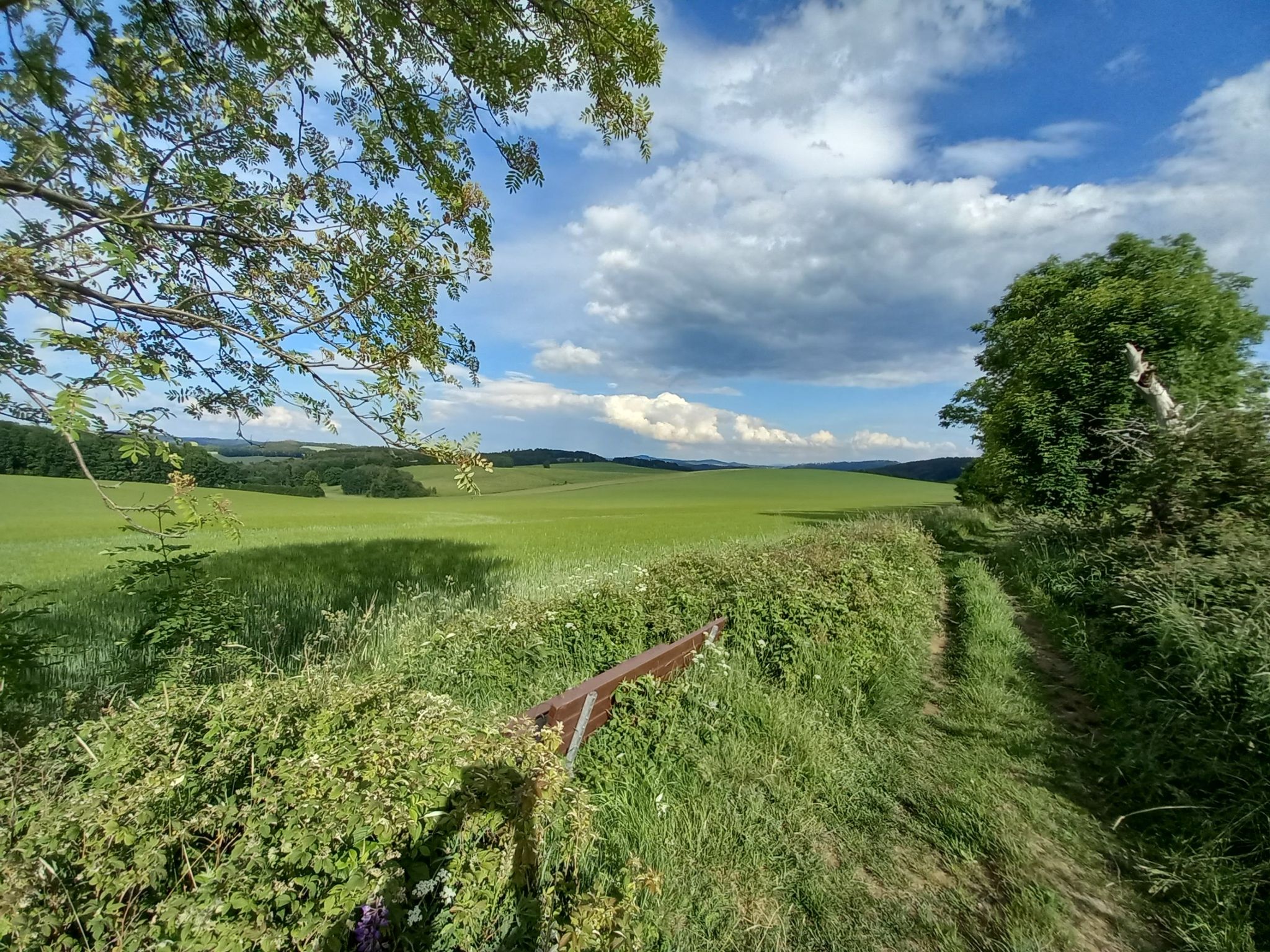 Kirchsteig