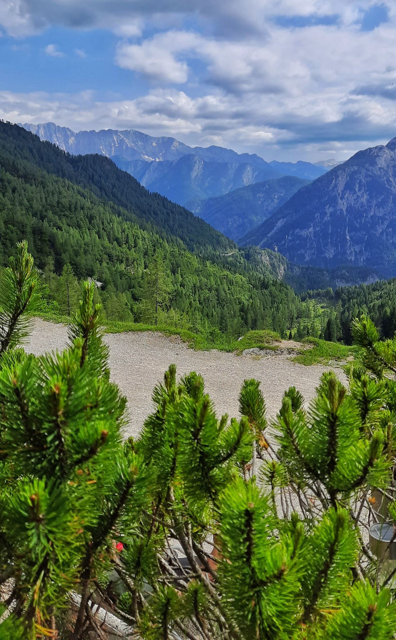 Wygaszacz ekranu made by Matka Natura