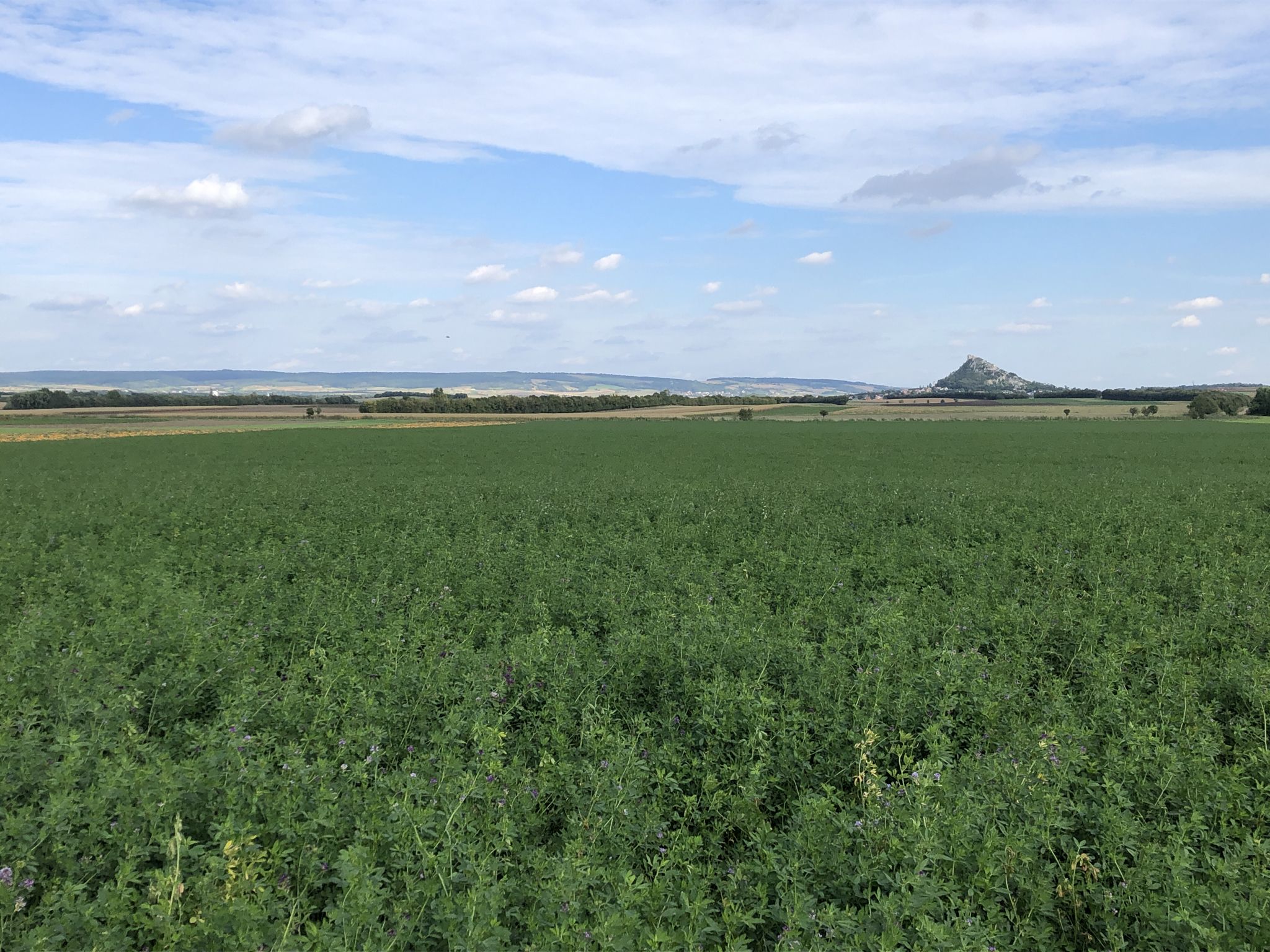 rechts grüßt der Staatzer Felsen herüber
