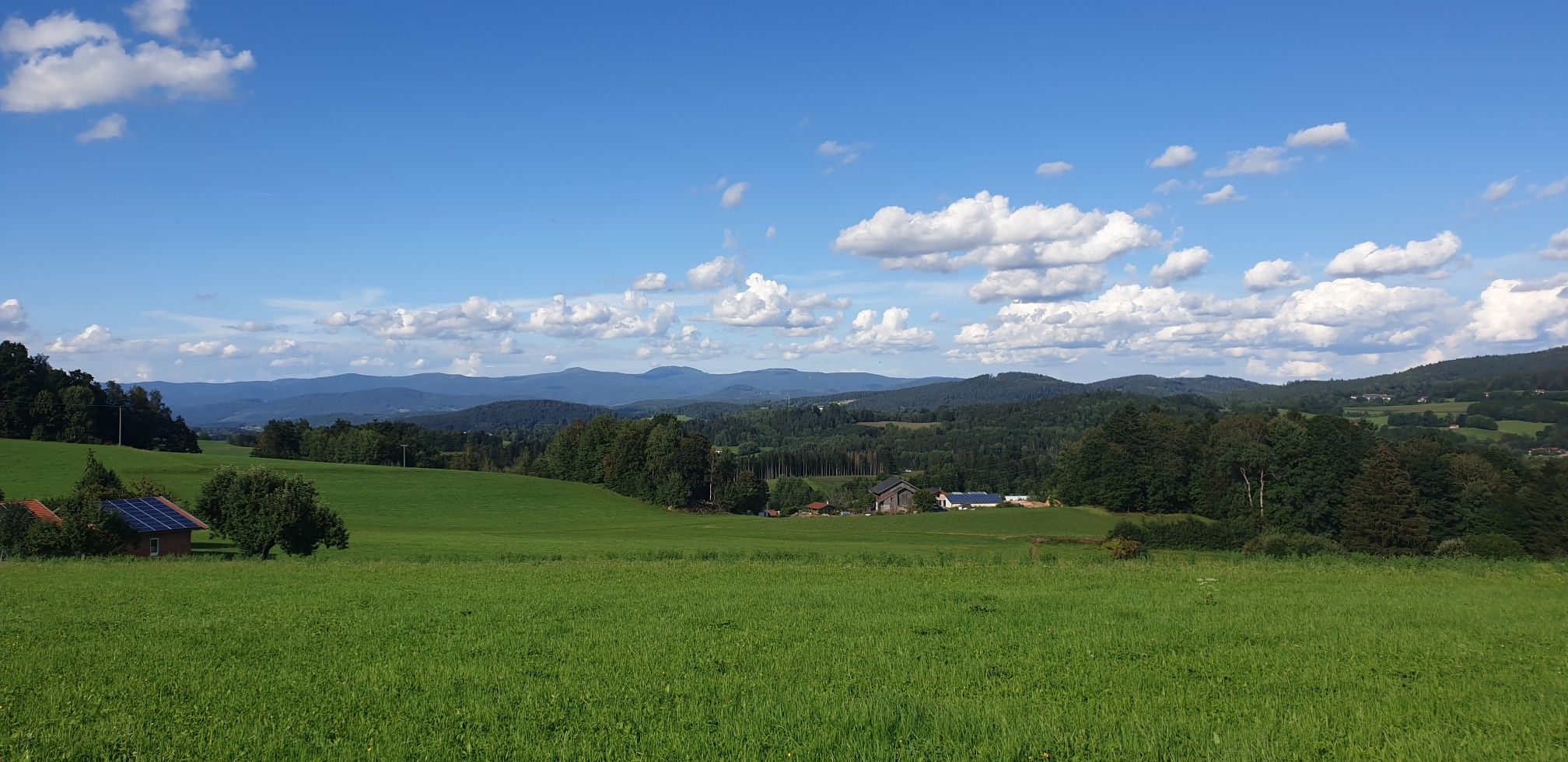 Arberblick