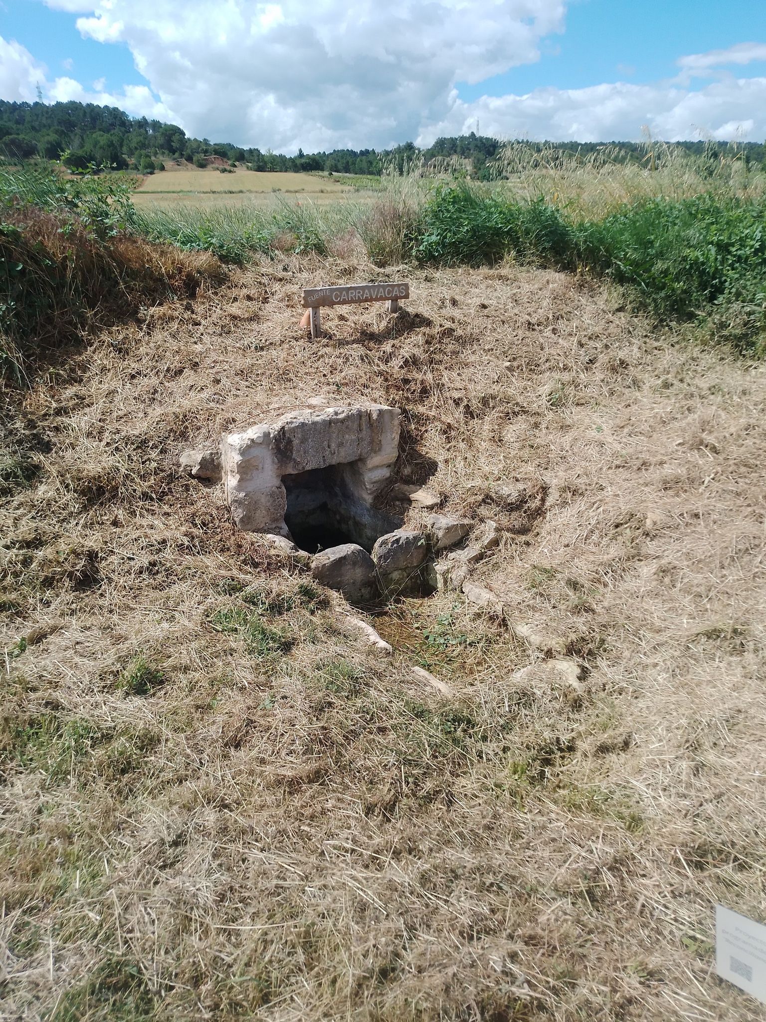 fuente carravacas