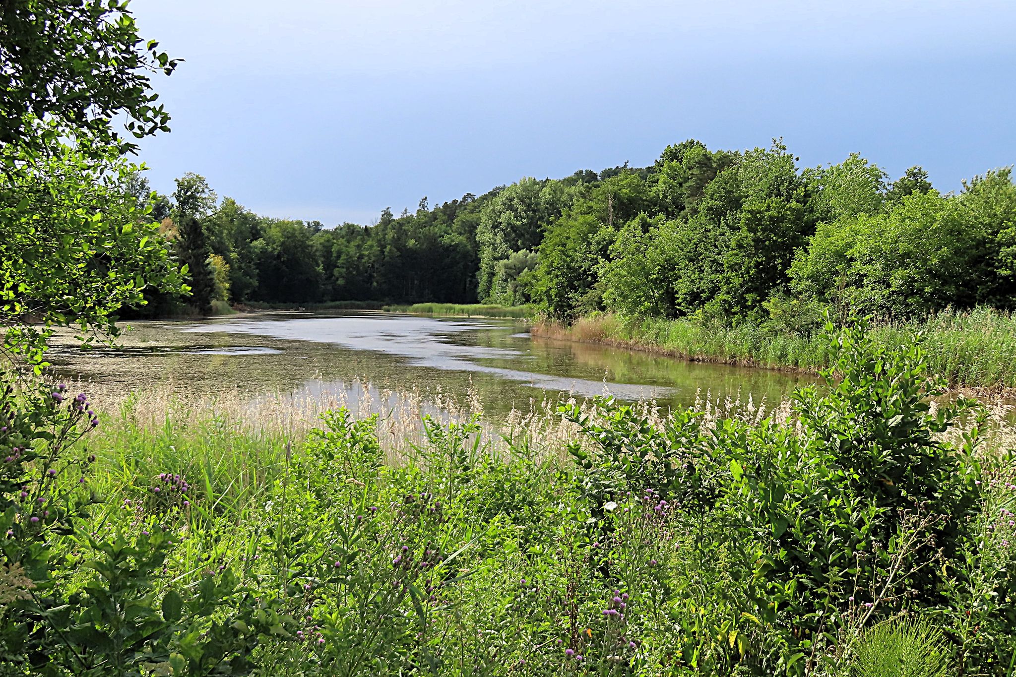 Markgräfinweiher