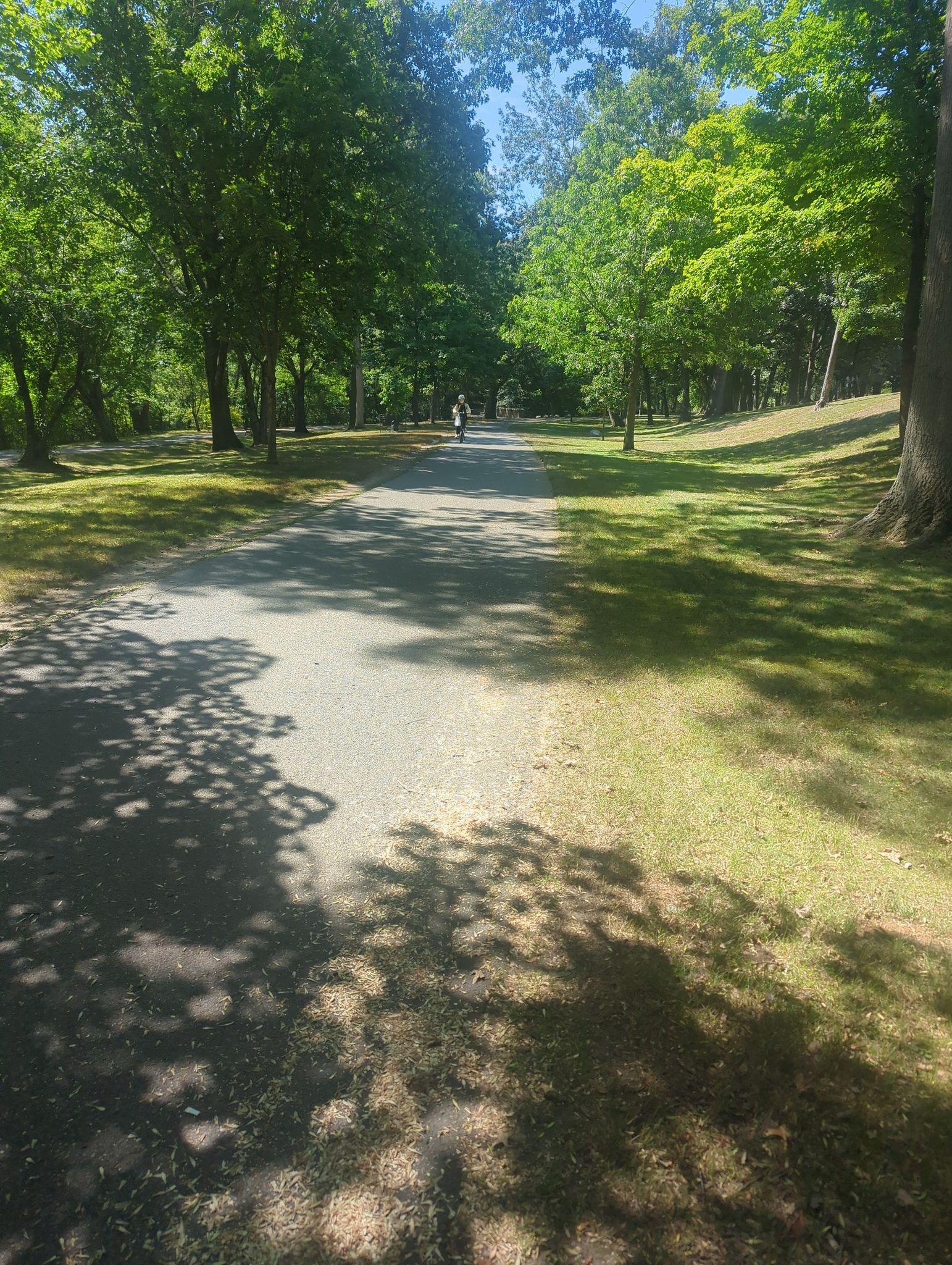 A person cycles on a sunny paved path lined with green trees. - Claire Saltonstall Bikeway