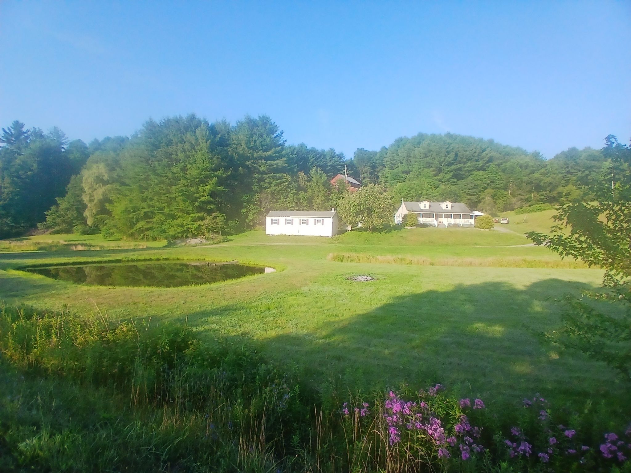 Sunny landscape with houses, a pond, and green fields surrounded by trees. - Troutdale to Junction of Five Trails at Scales